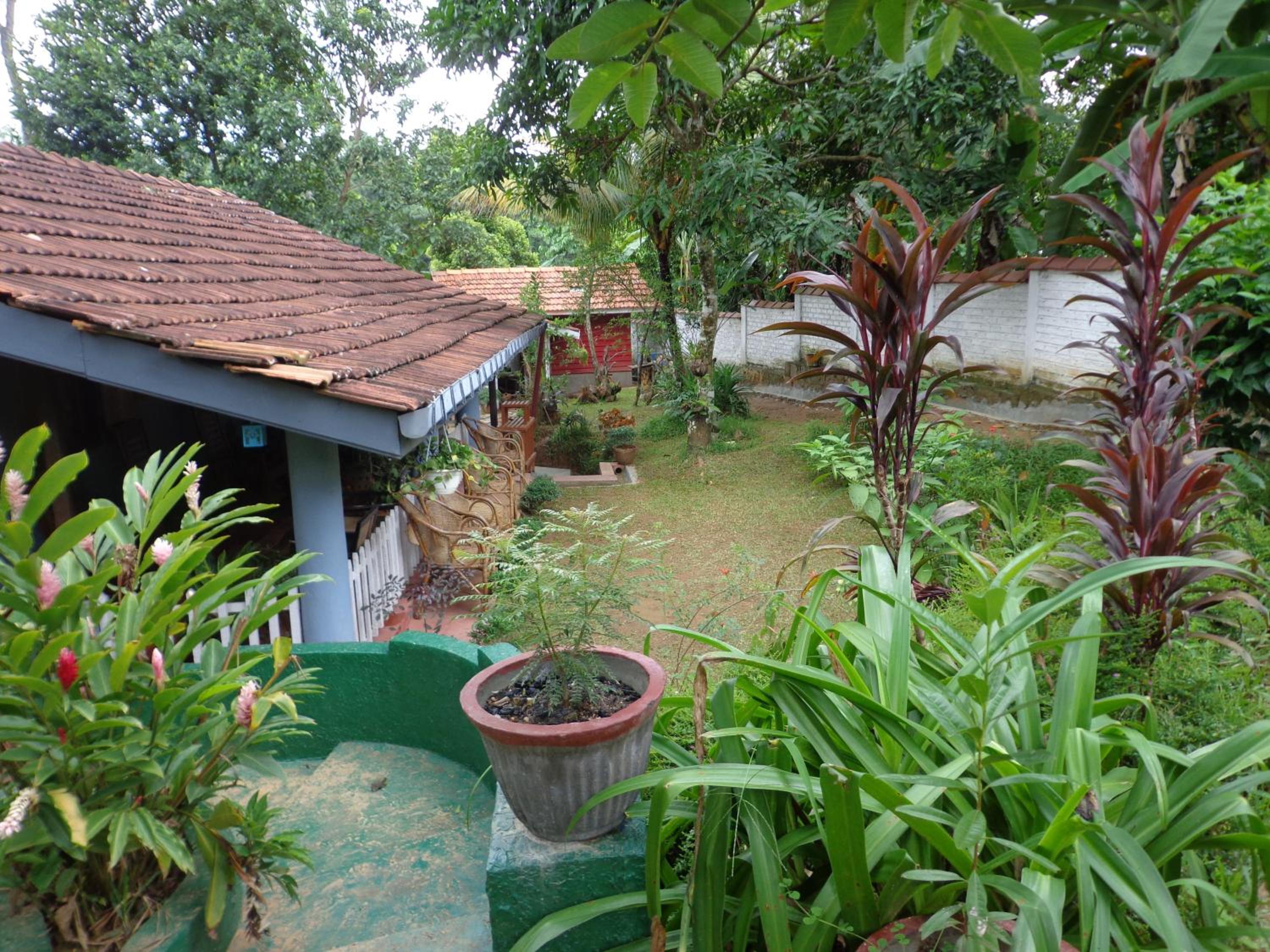 Photo 27
