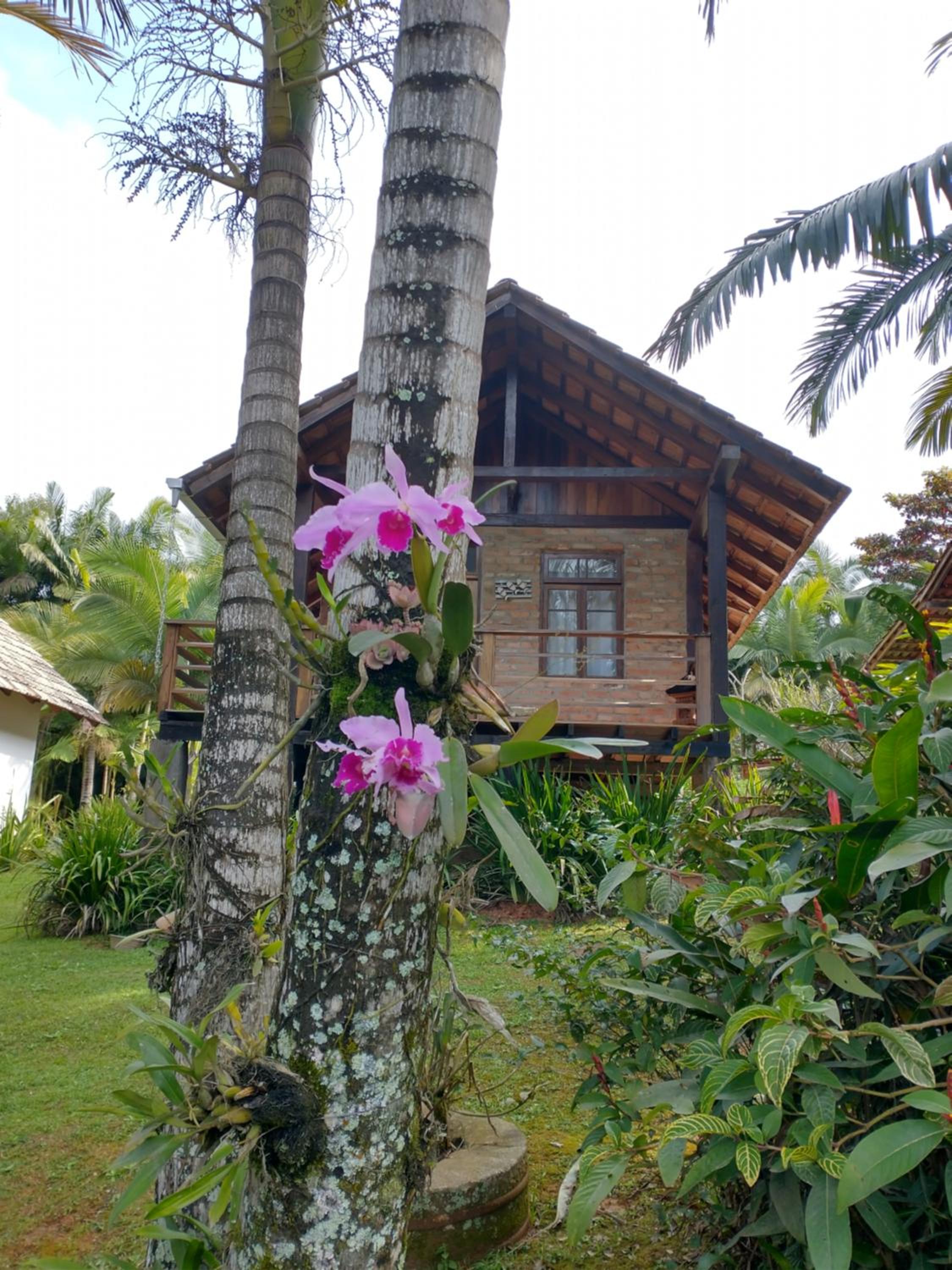 Cabana Linda Sítio Aracuã