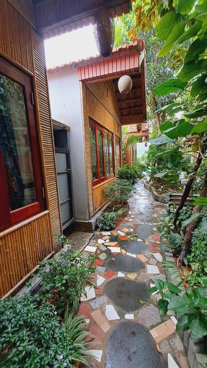 Photo 25