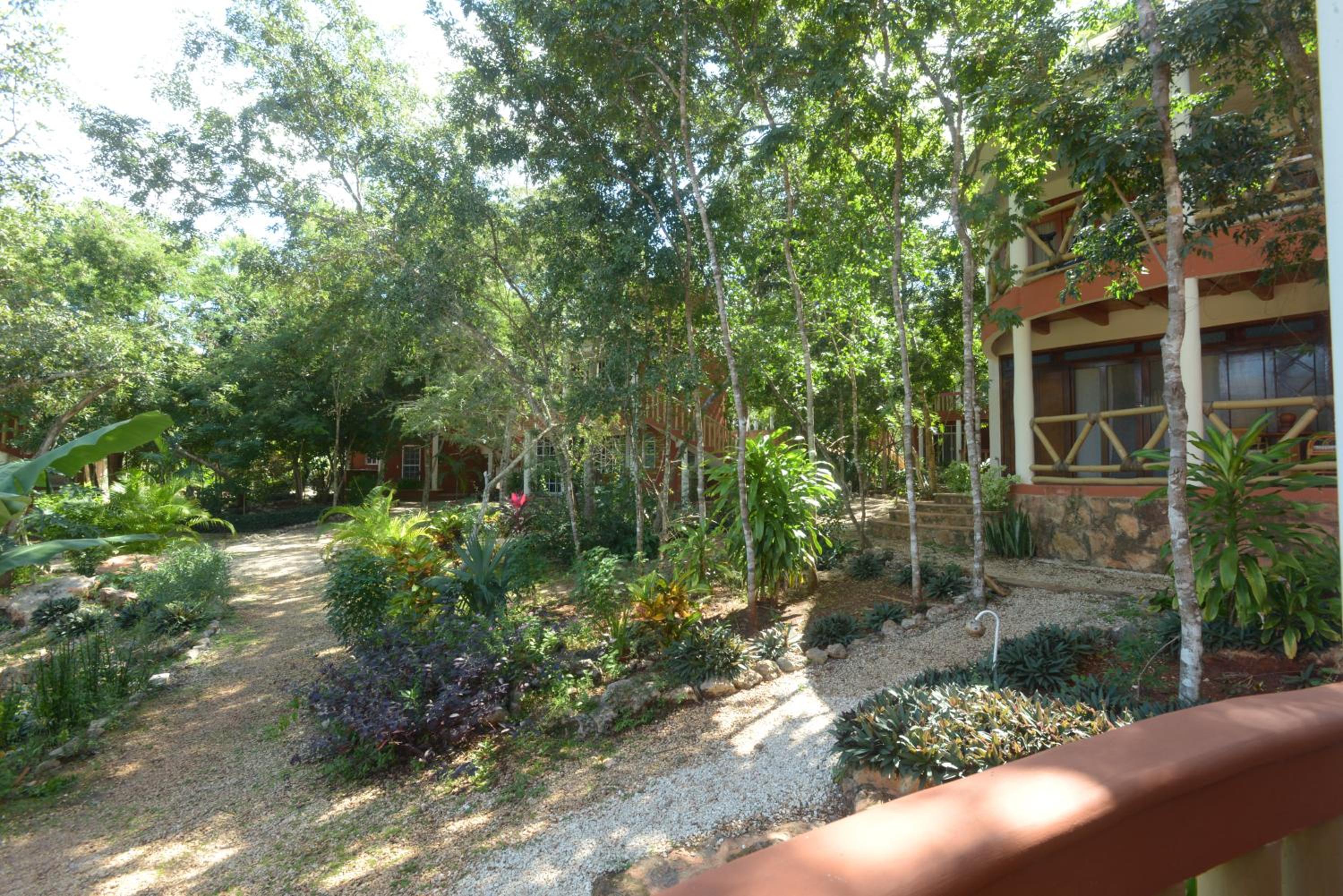 Eco-Hotel Nueva Altia
