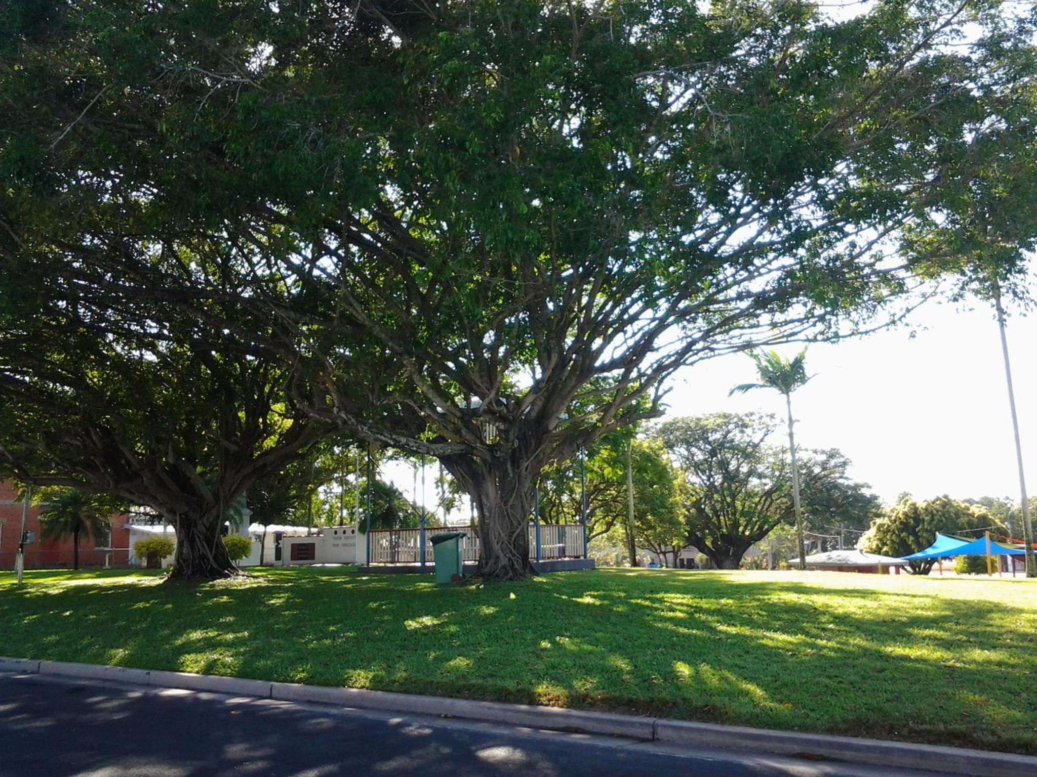 Photo 25