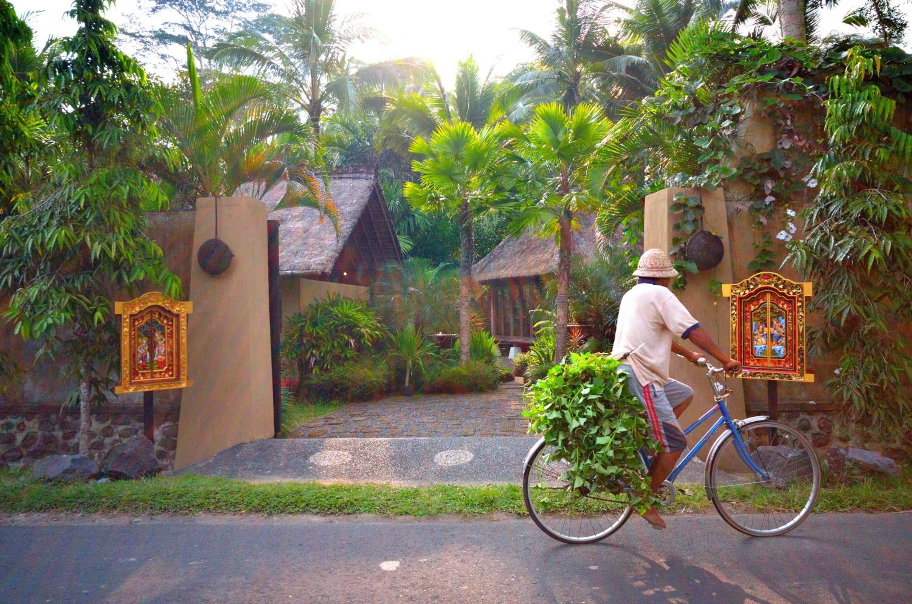 Jendela Di Bali Villa
