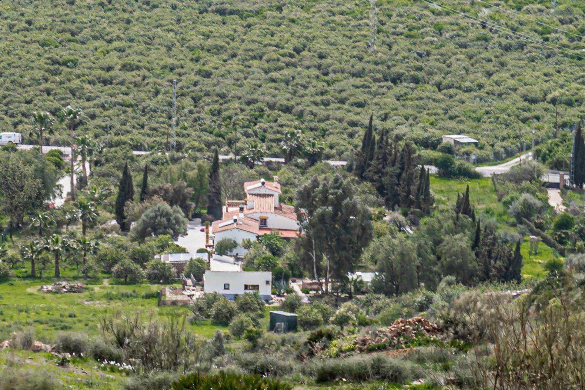 Finca El Limonar view 5