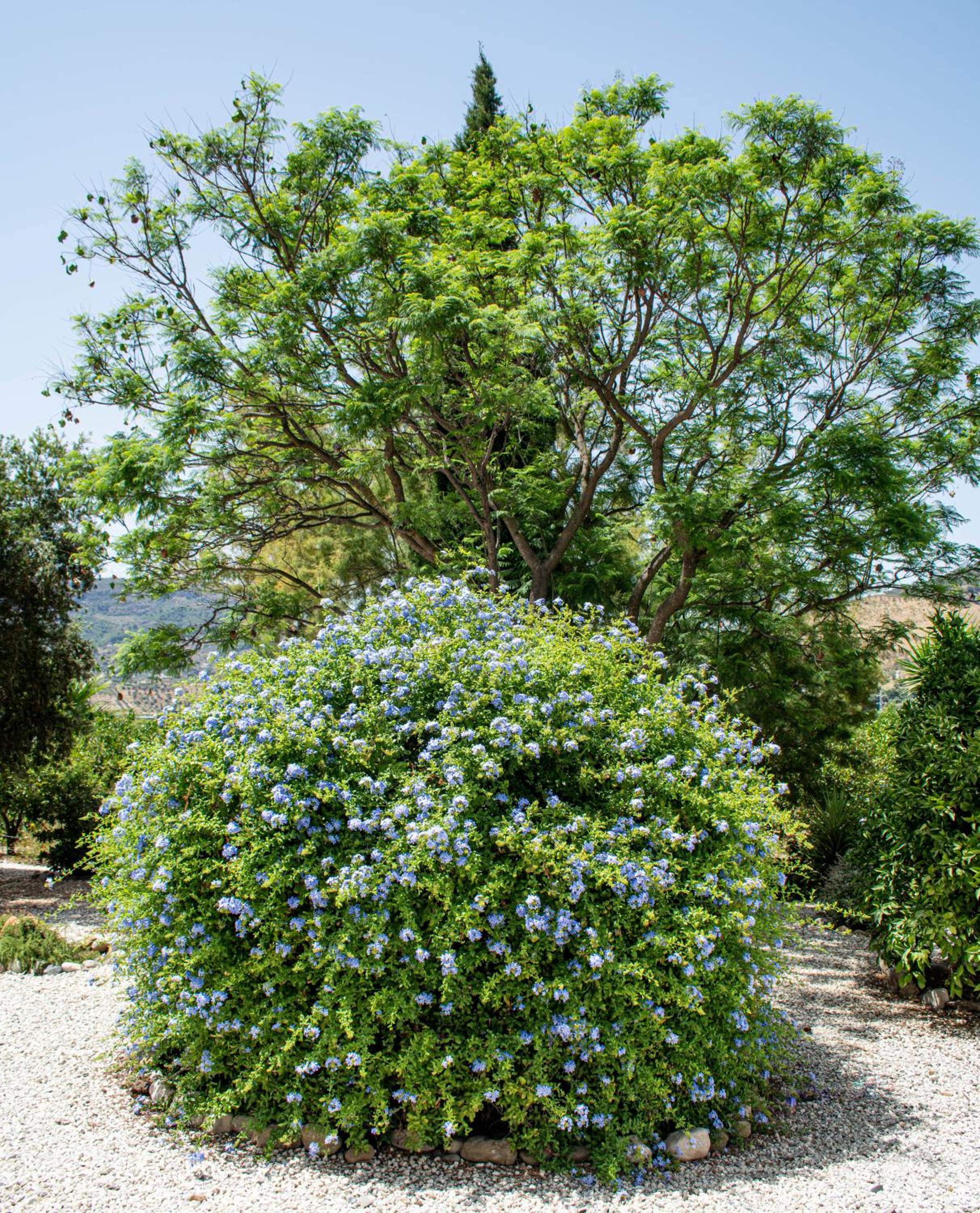 Photo 40