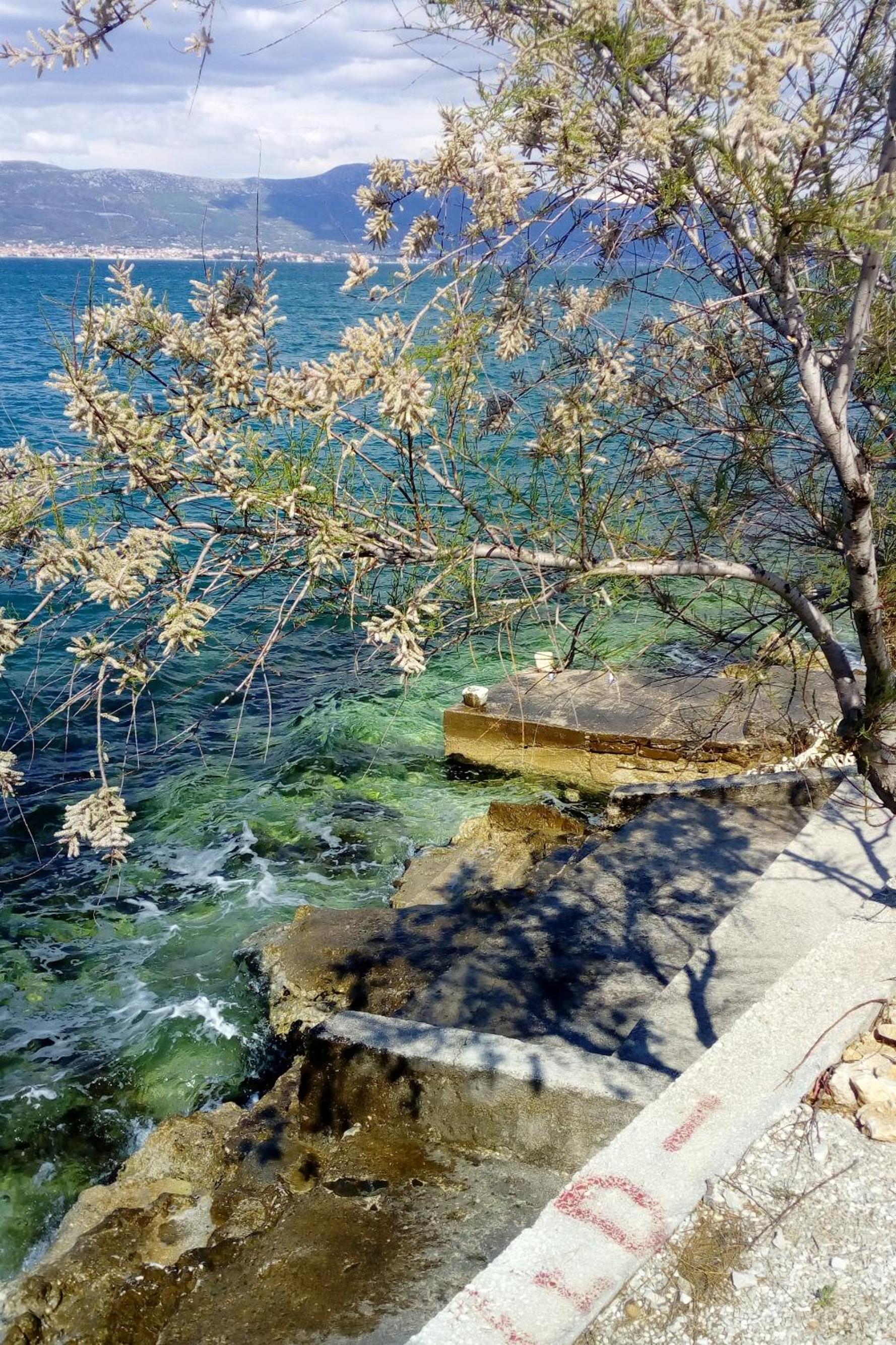 Apartments by the sea Arbanija, Ciovo - 18661 view 5