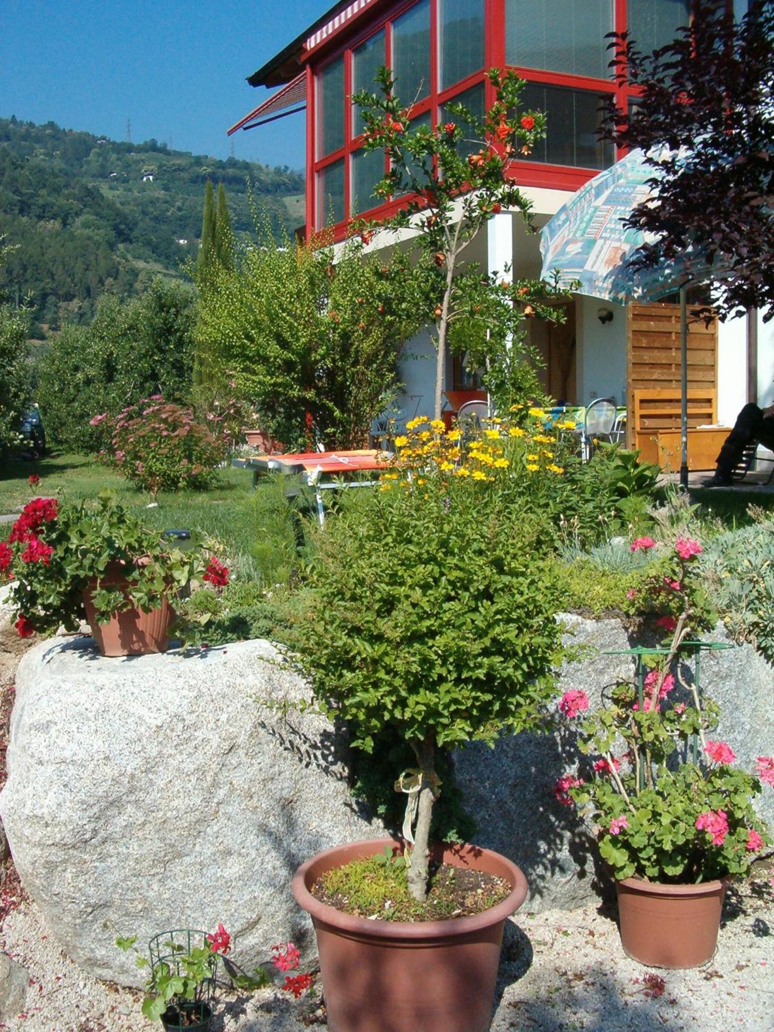 Photo 22