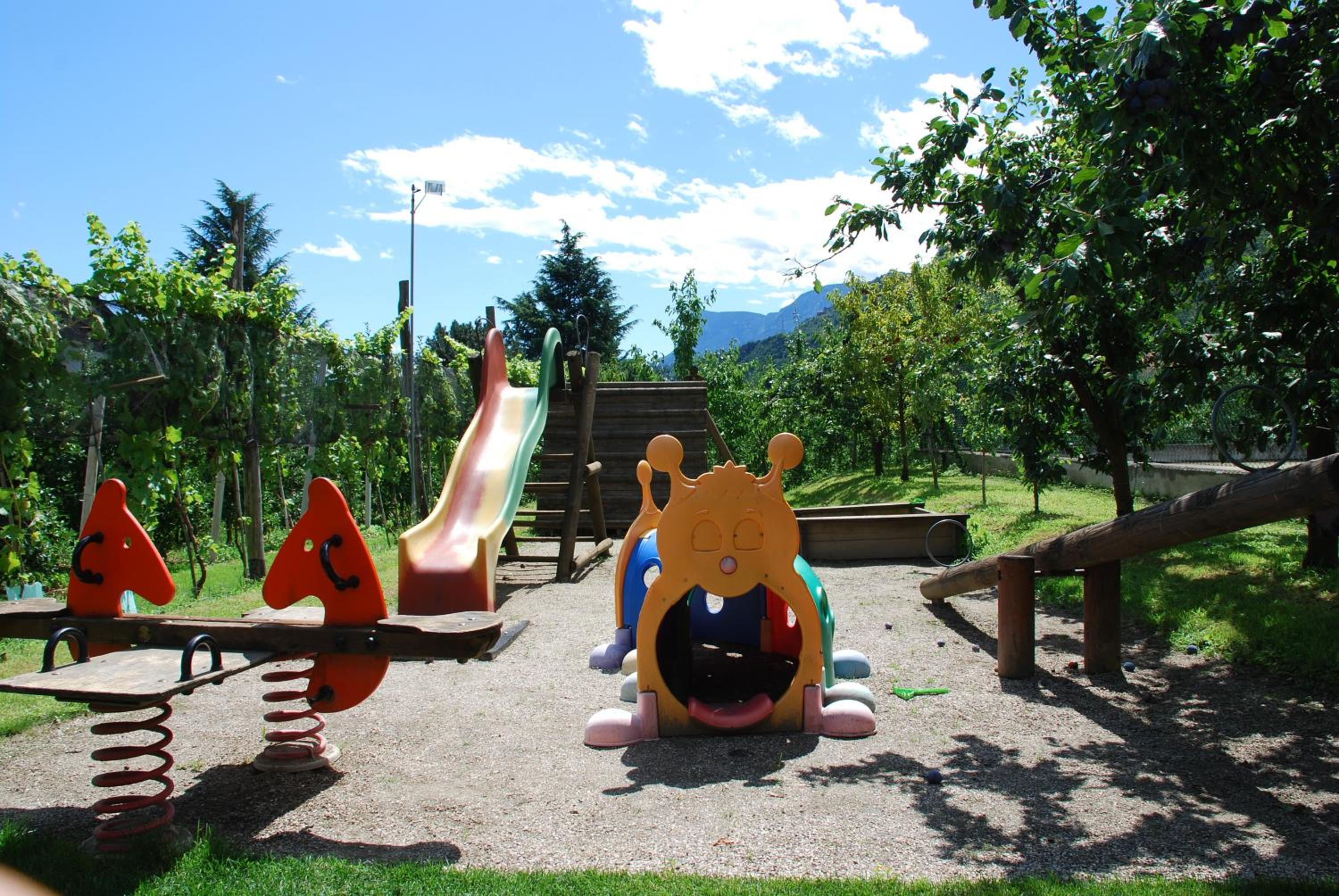 Photo 43