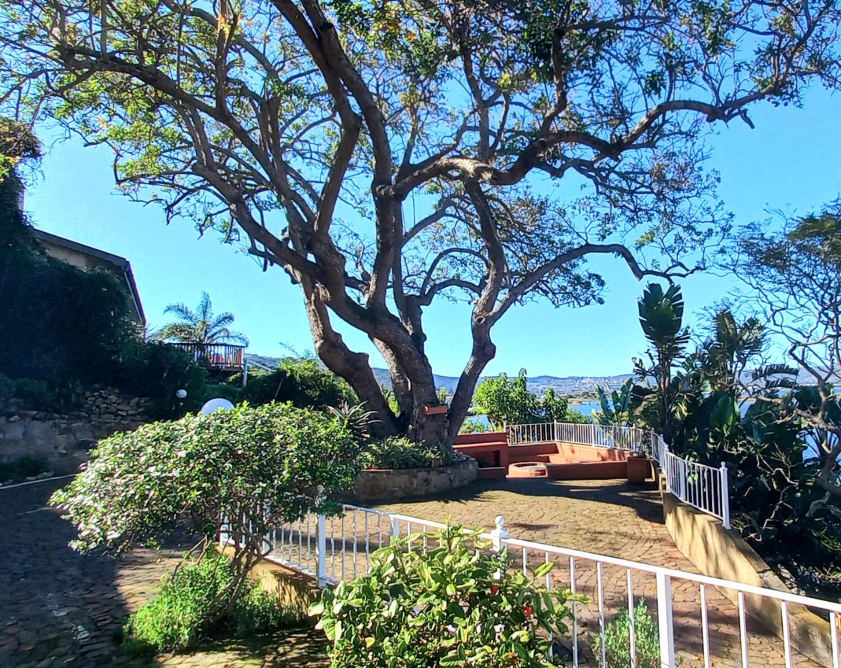 Phoenix Lodge and Waterside Accommodation