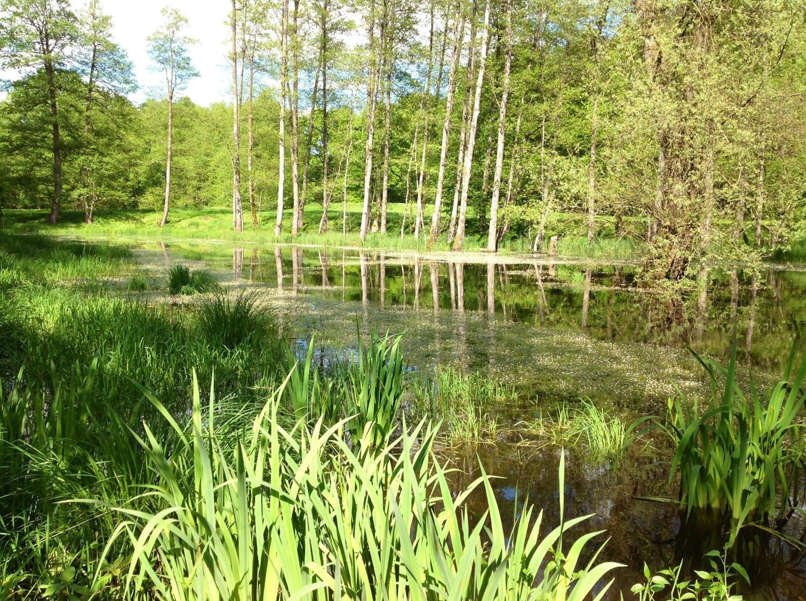 Goldschmiedsmühle