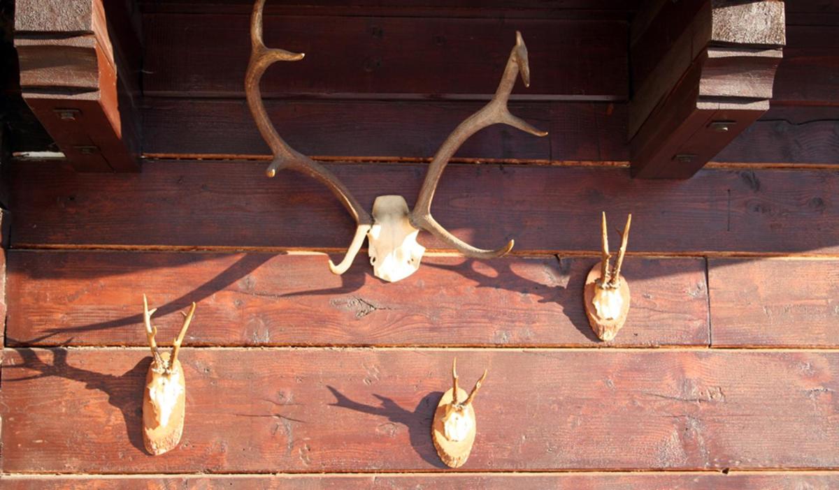 Art-Lodge Kunstpension