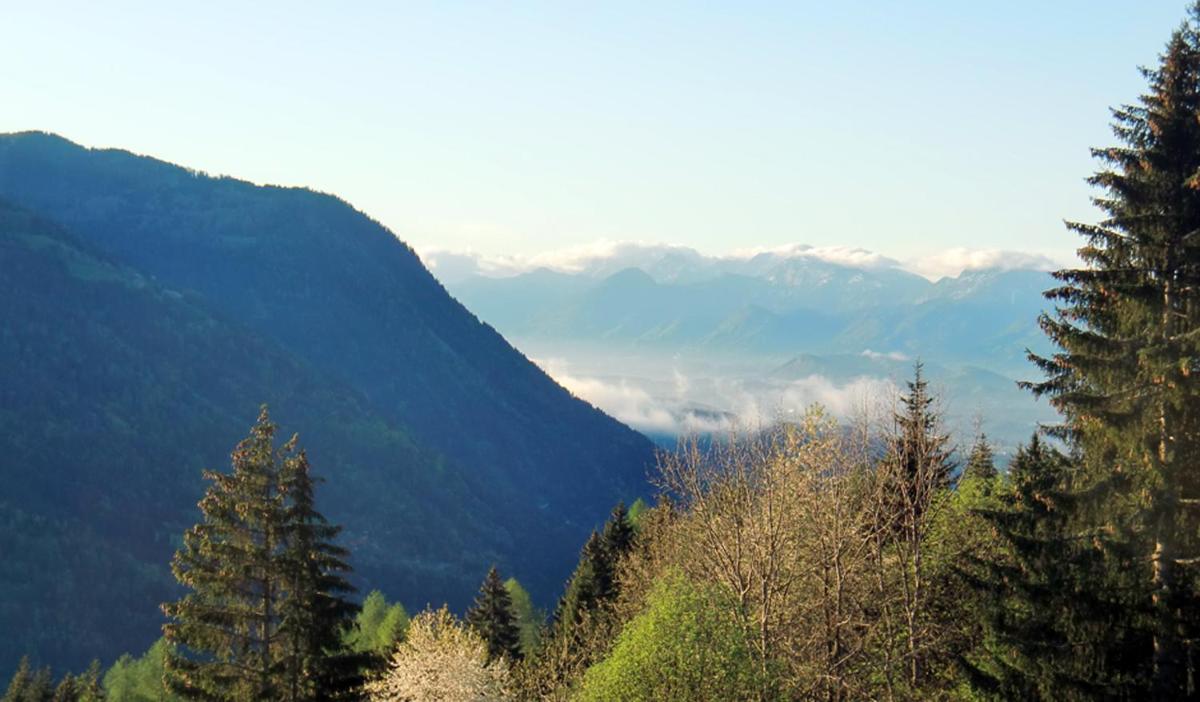 Art-Lodge Kunstpension
