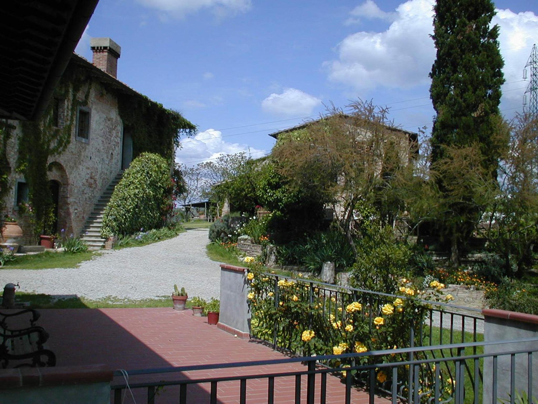 Photo 8