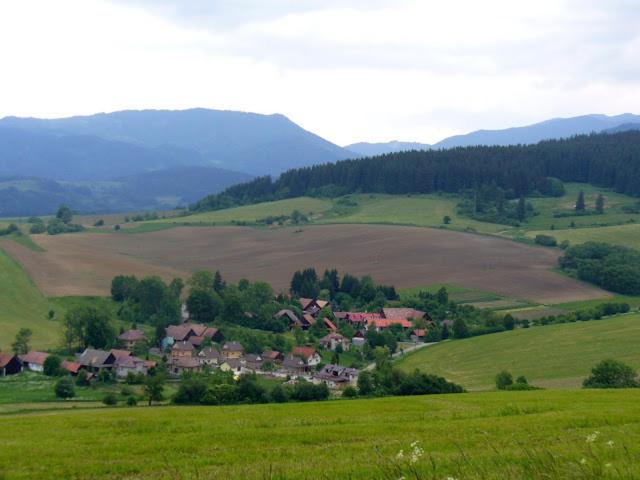 Photo 47