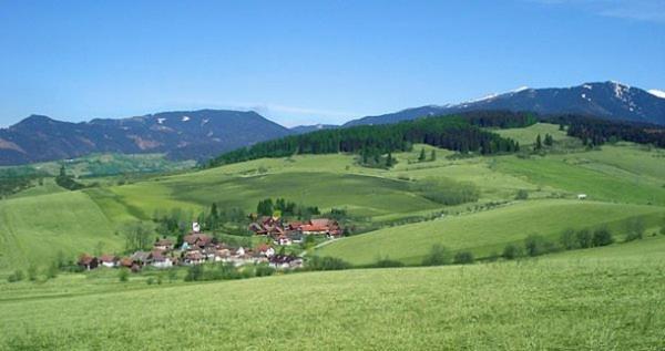 Photo 46