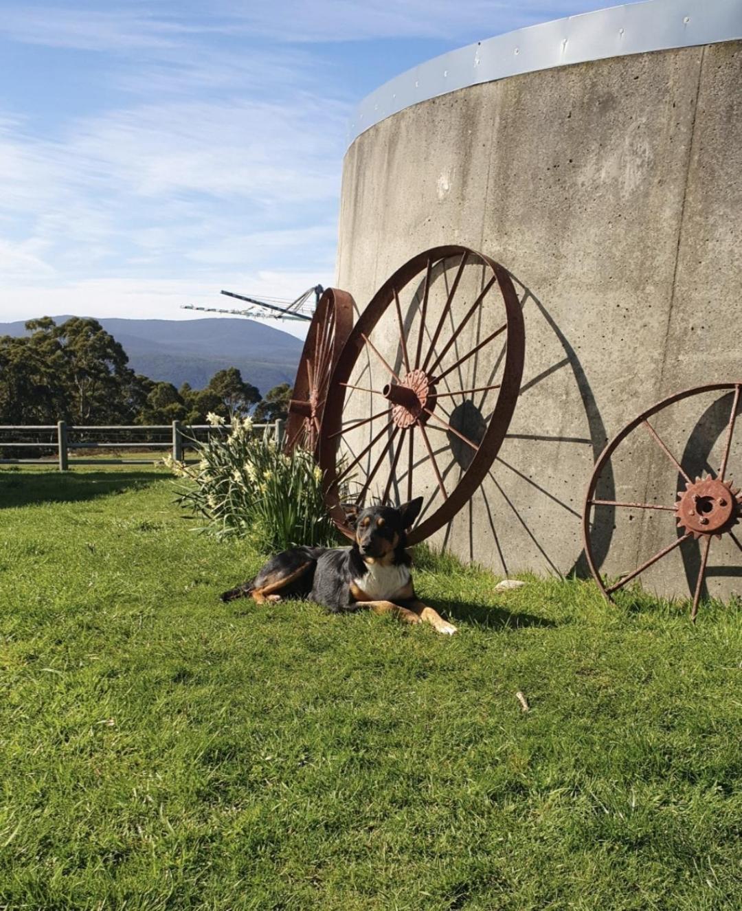 Ruby's Cottage Farm Stay
