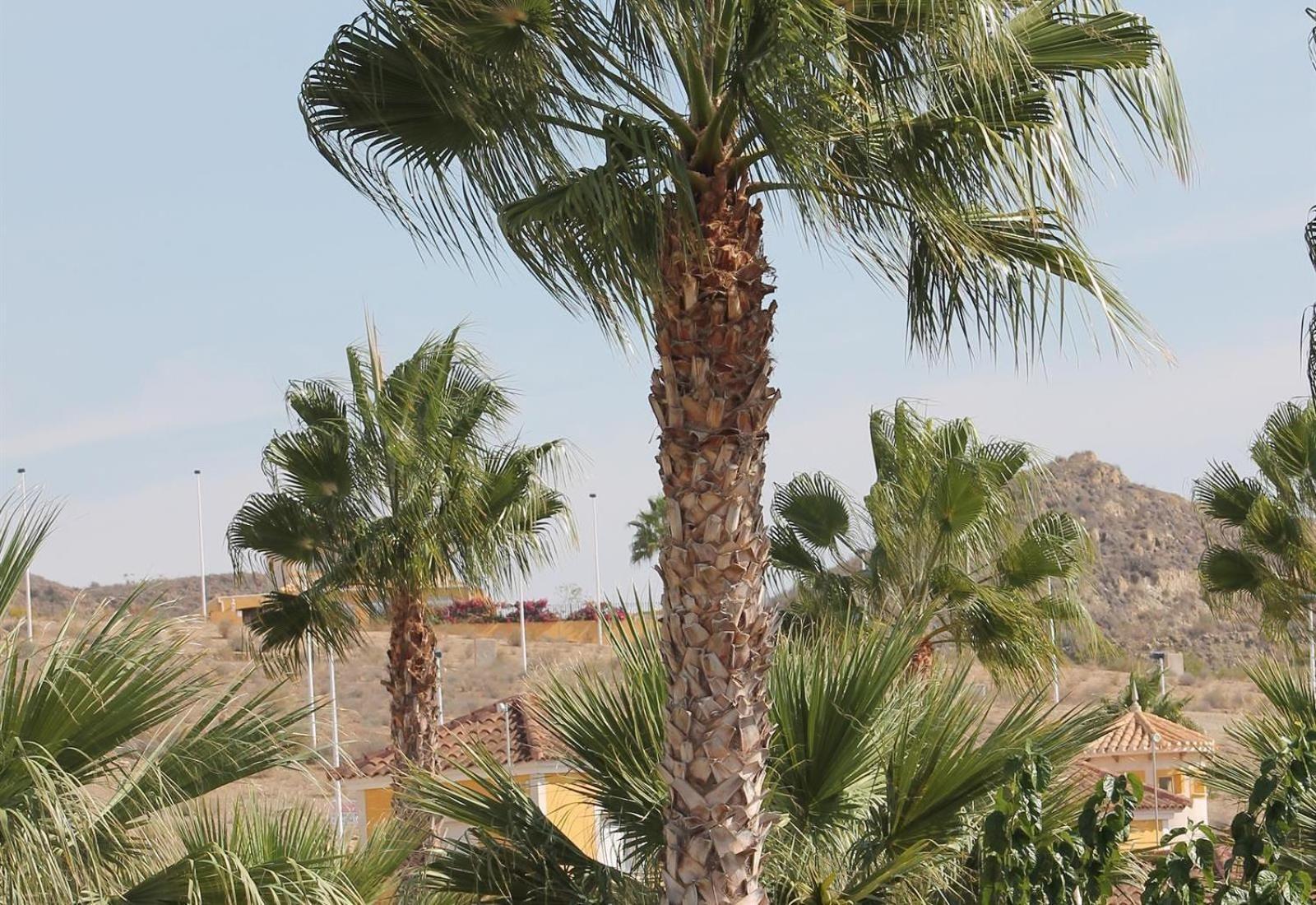 Villa Capricho