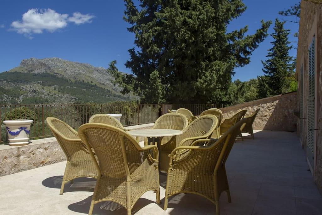 Finca Tomir