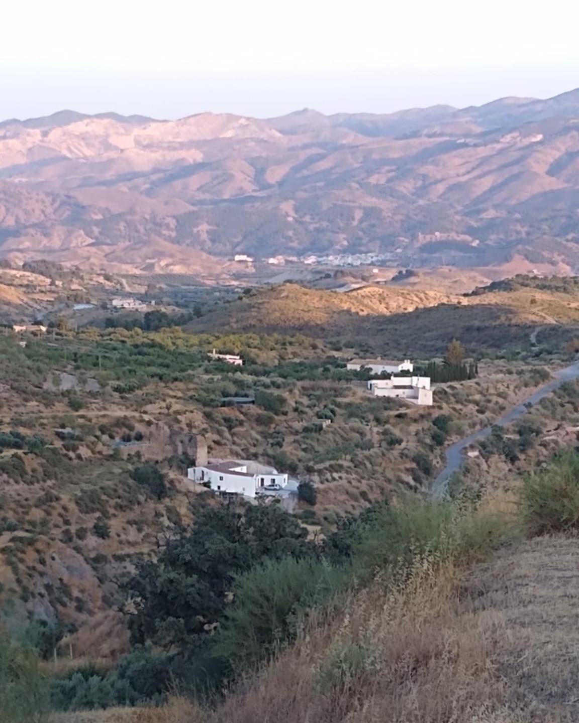 Molino Mio