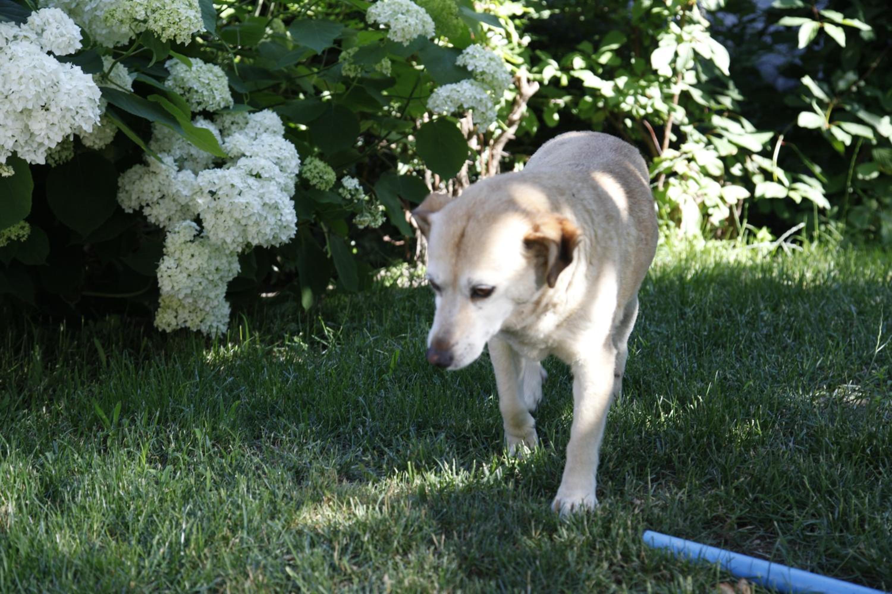 Photo 23