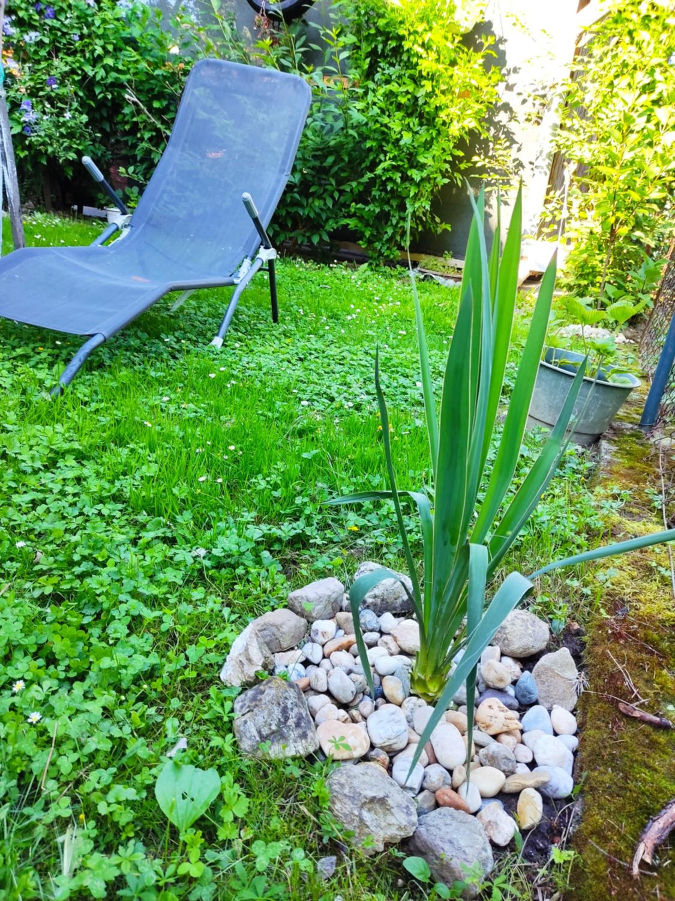 Photo 44