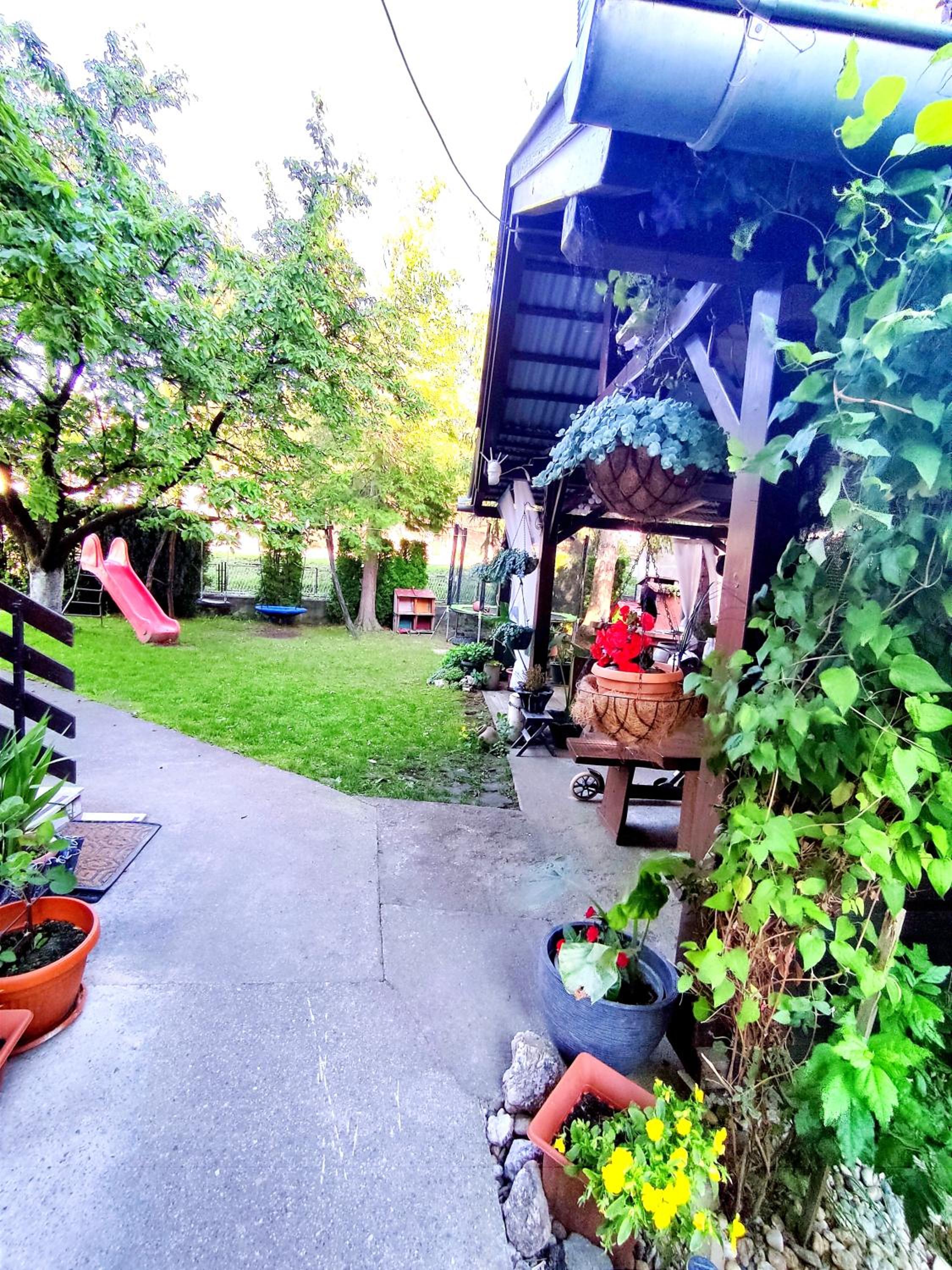 Photo 31