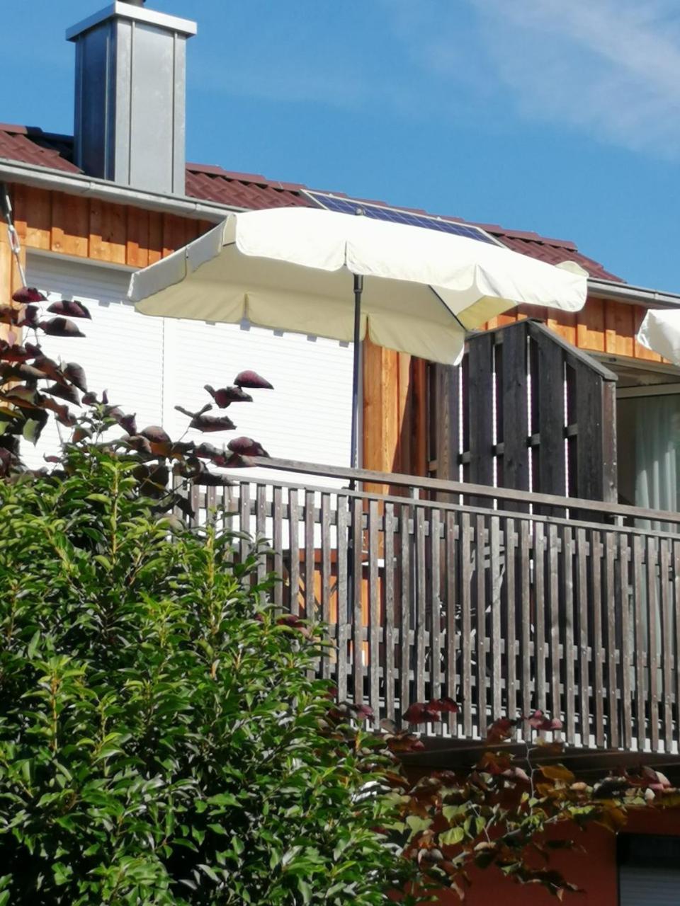 Haus Meersburg Rebe