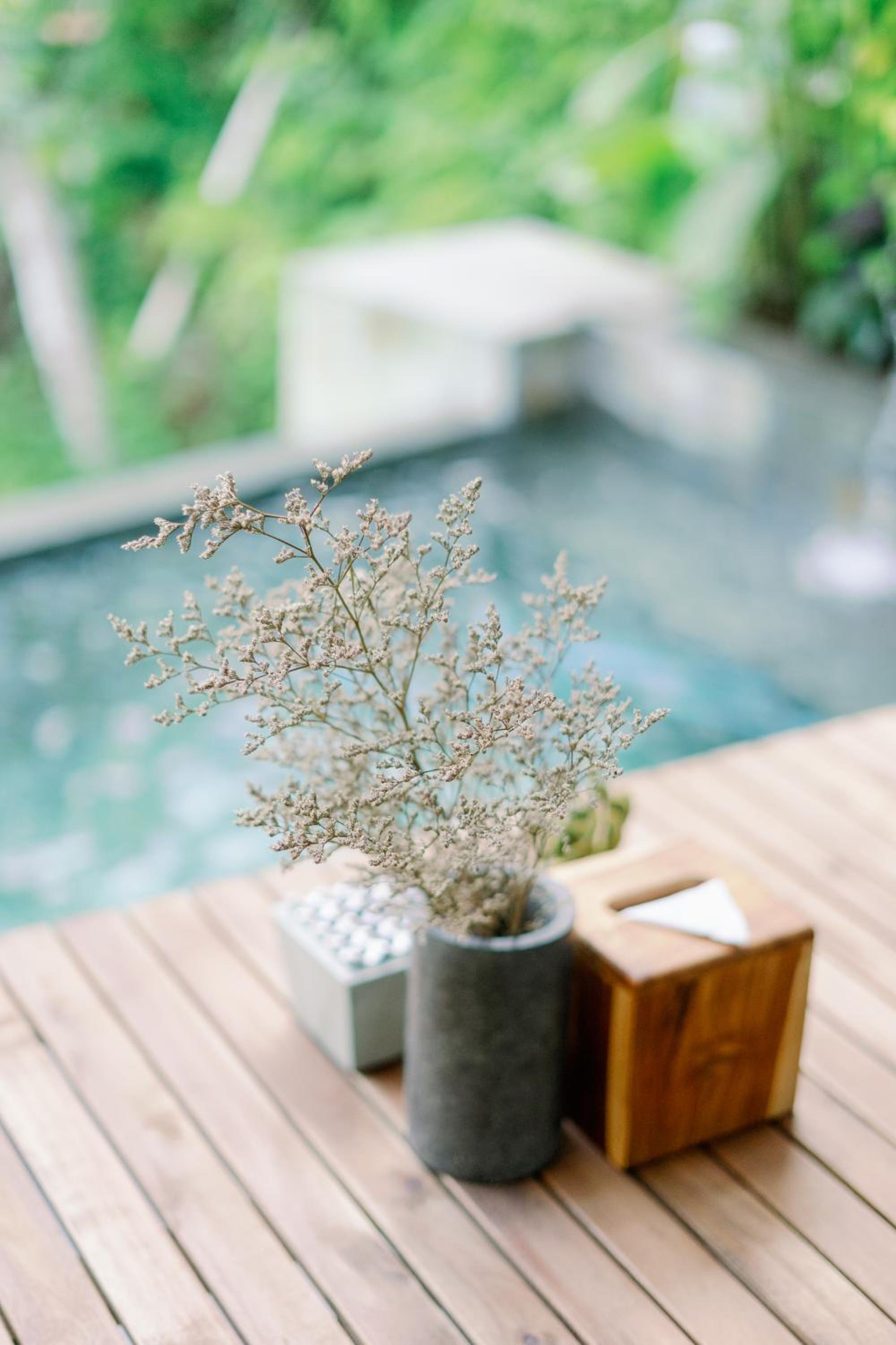 Zenubud