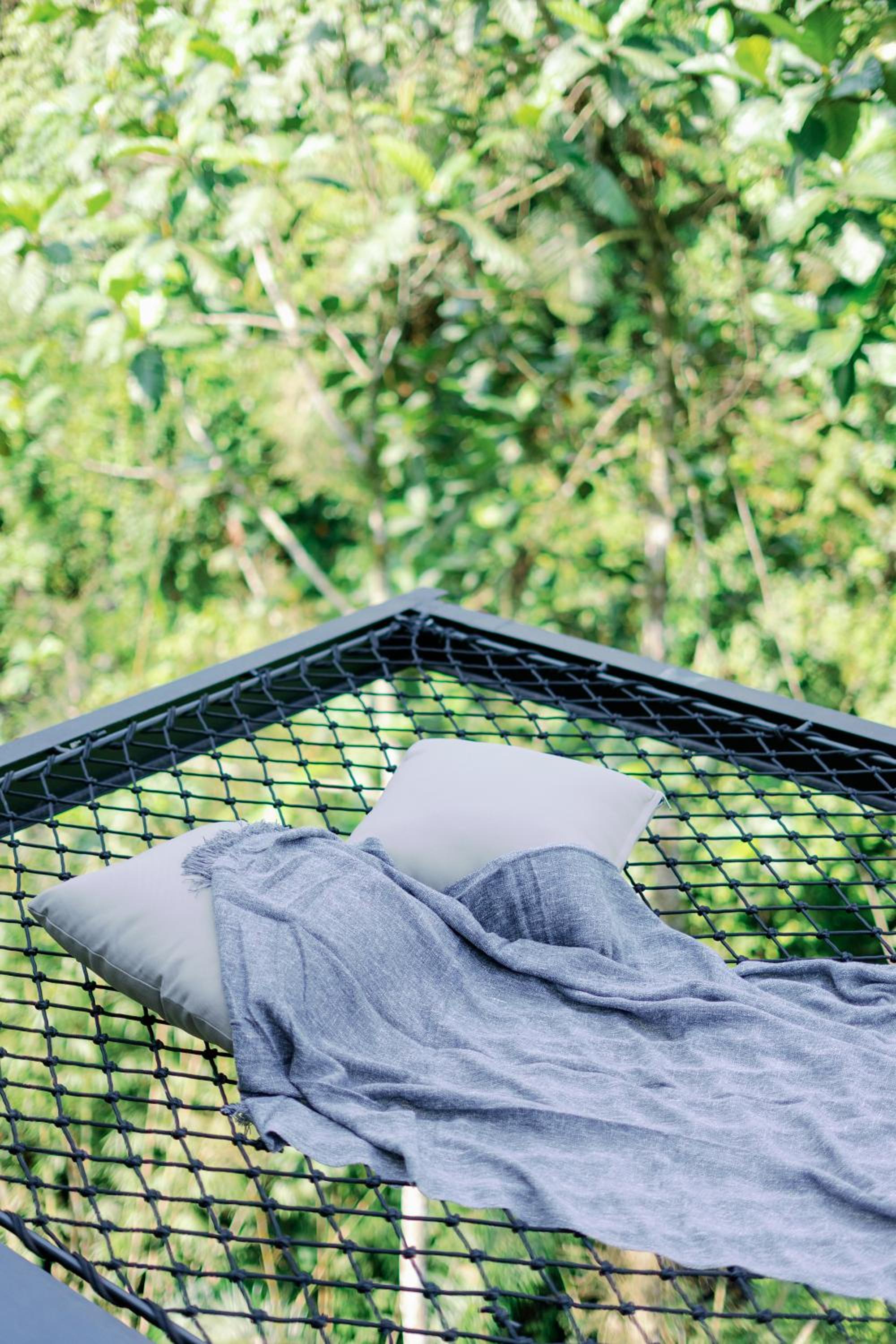 Zenubud