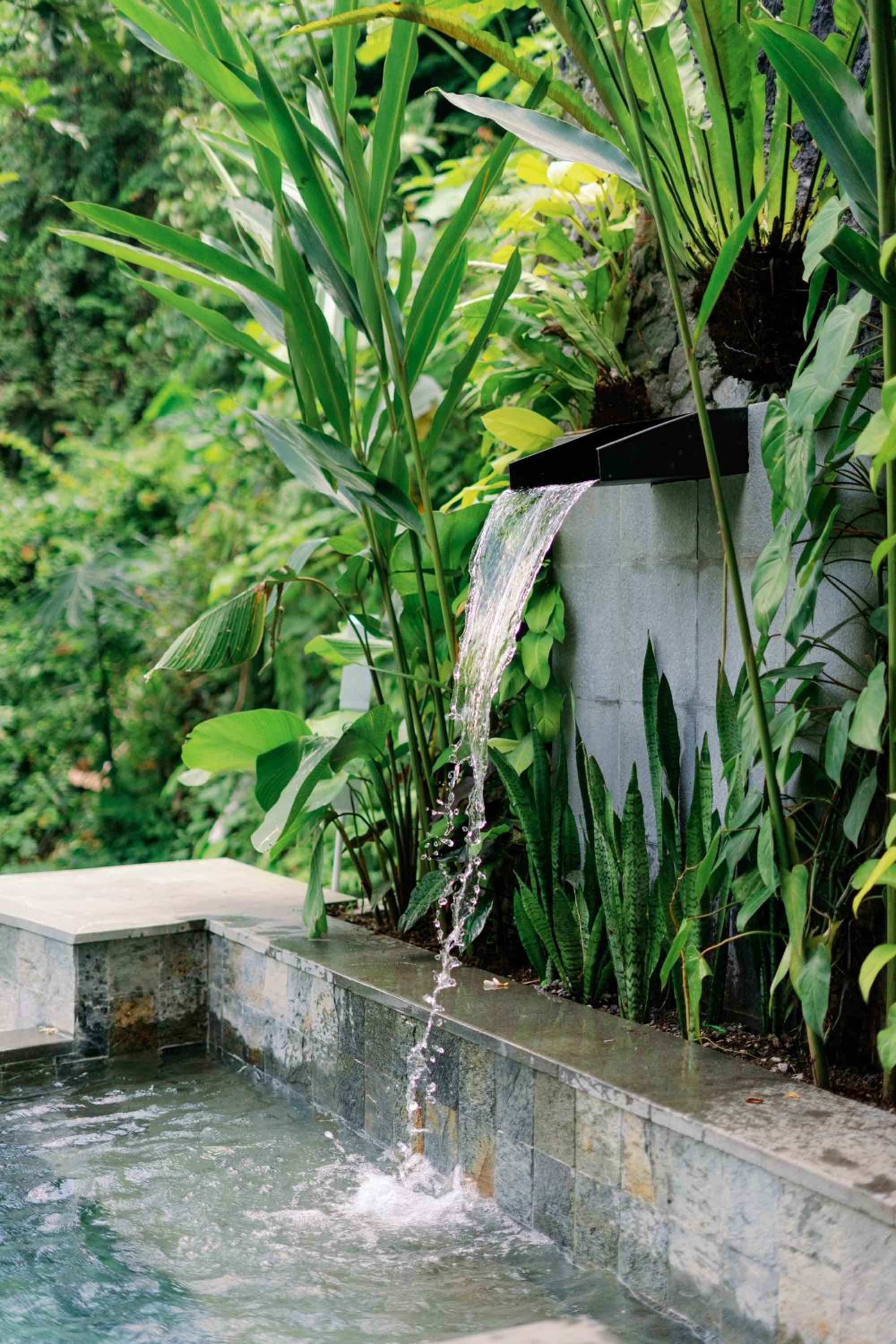 Zenubud