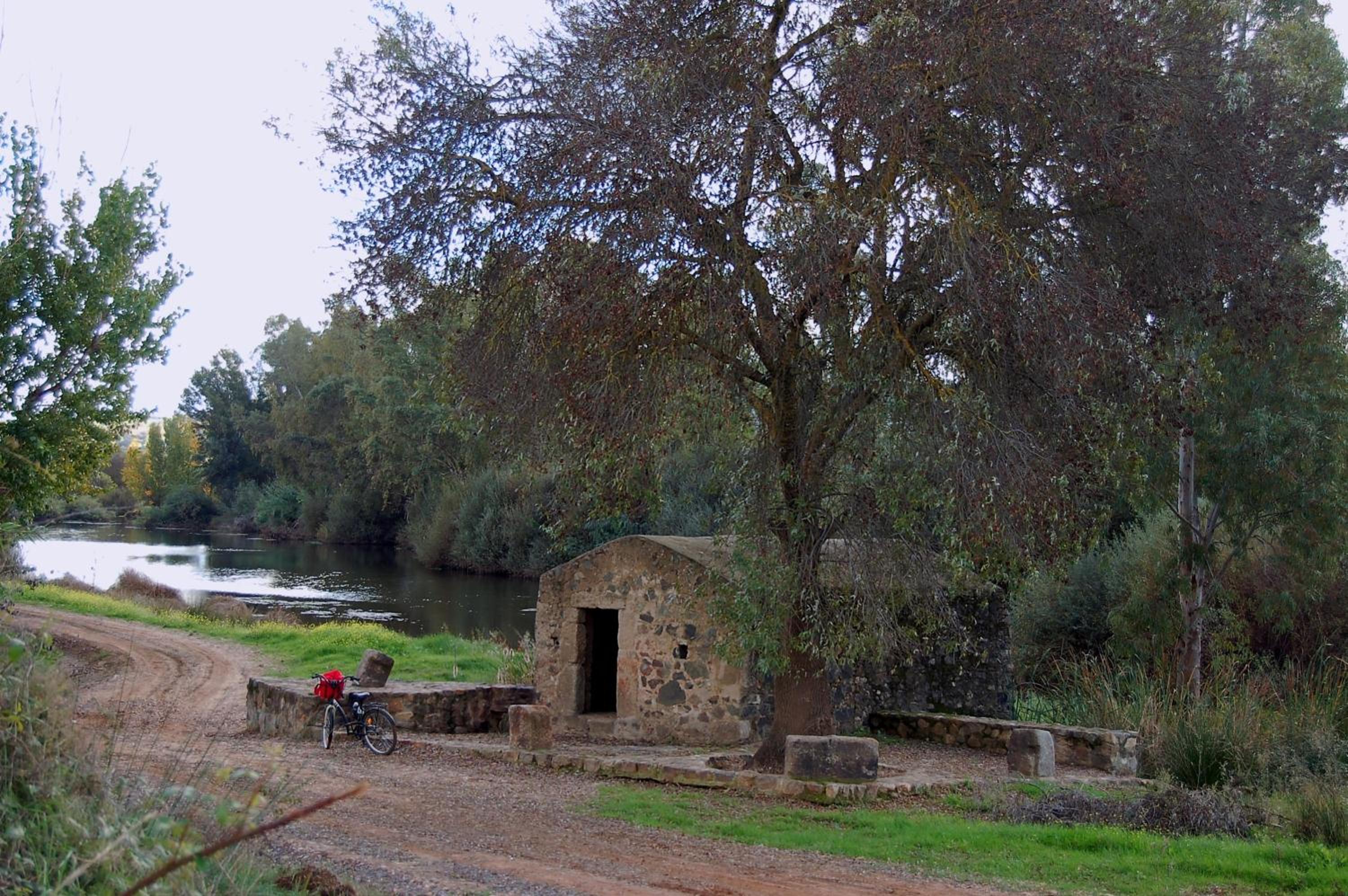 Photo 44