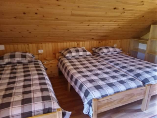 Podklanci-house in the forest view 5