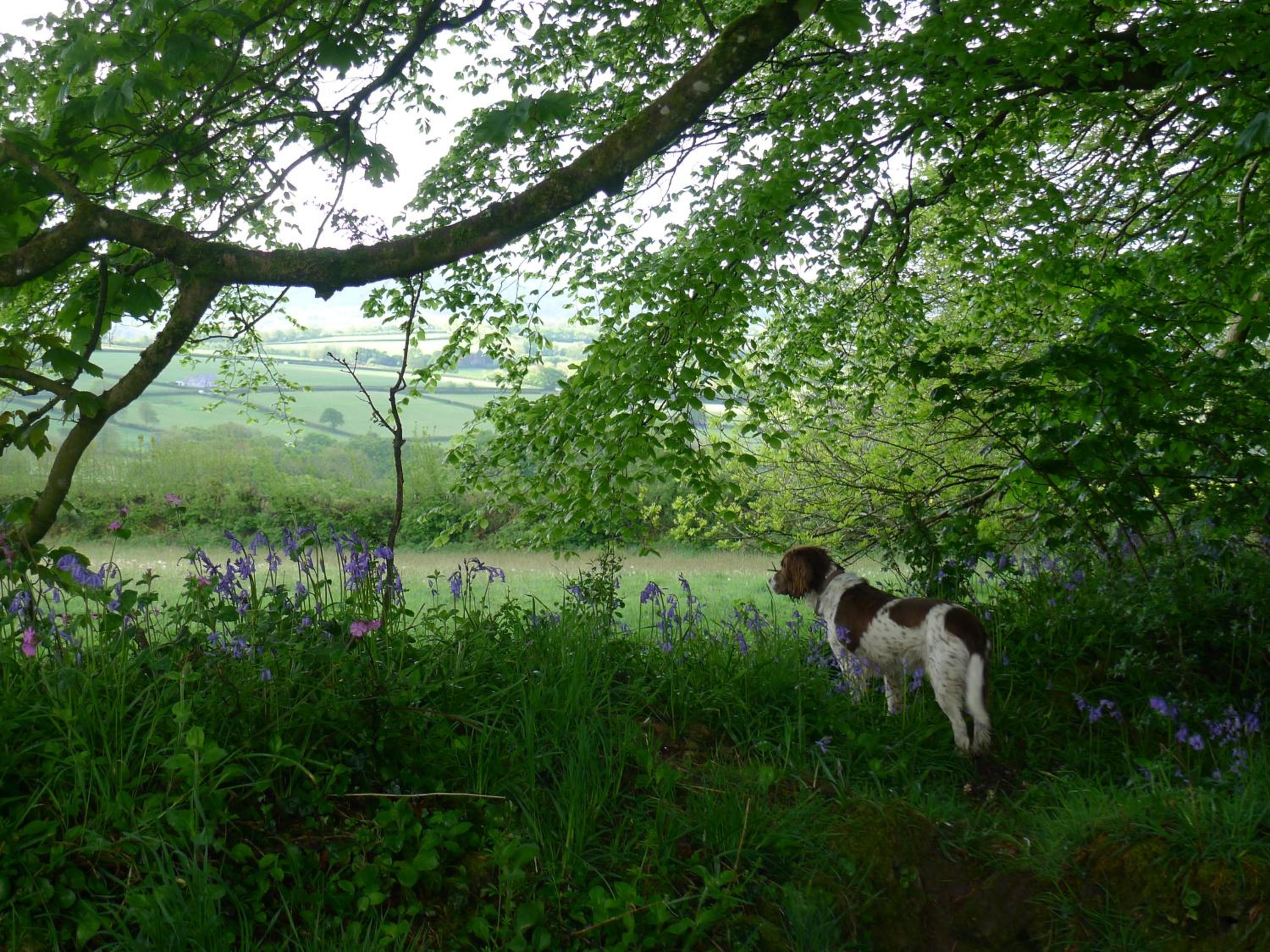 Tuell Farm Cottages view 3