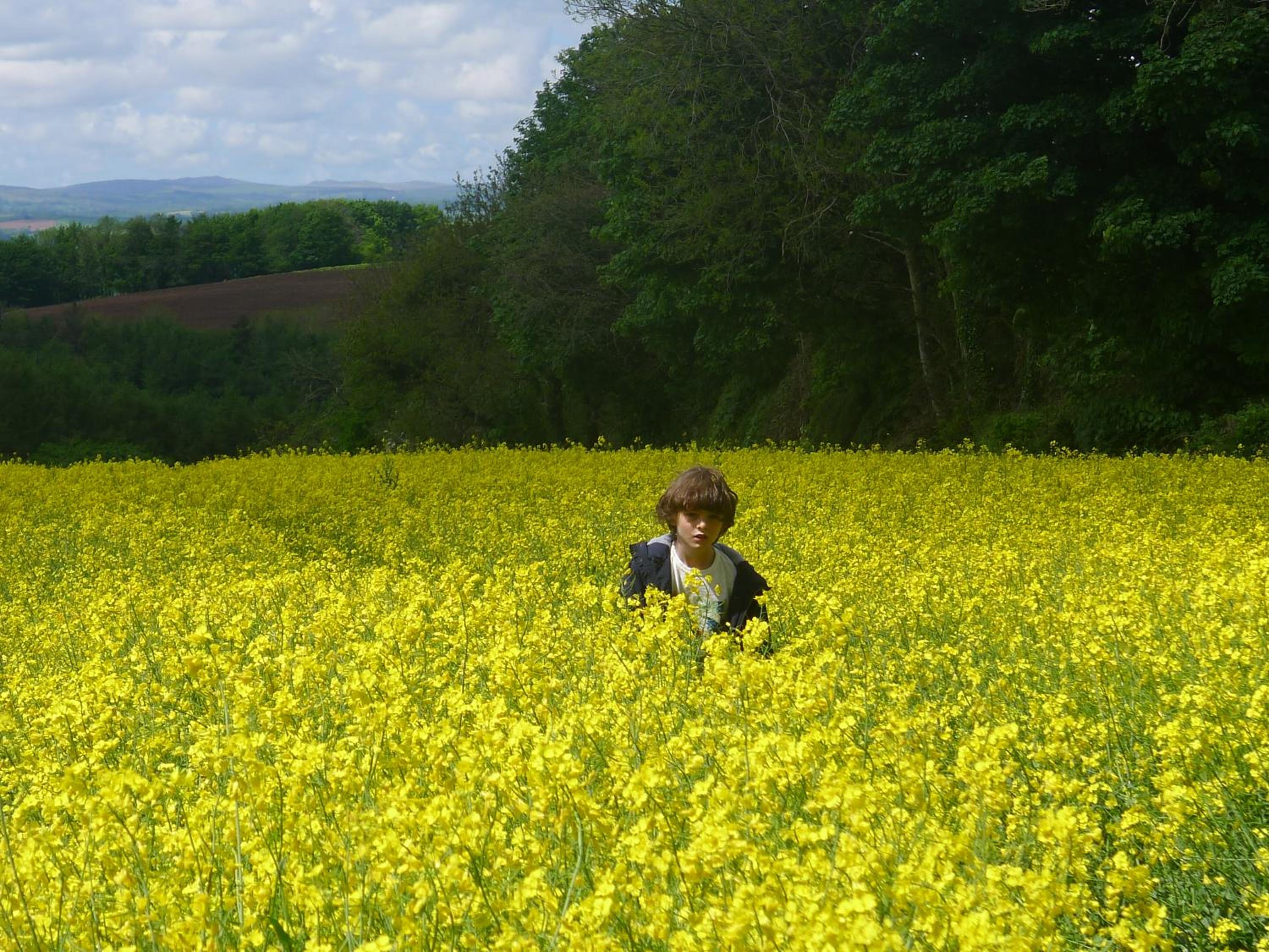Tuell Farm Cottages view 5