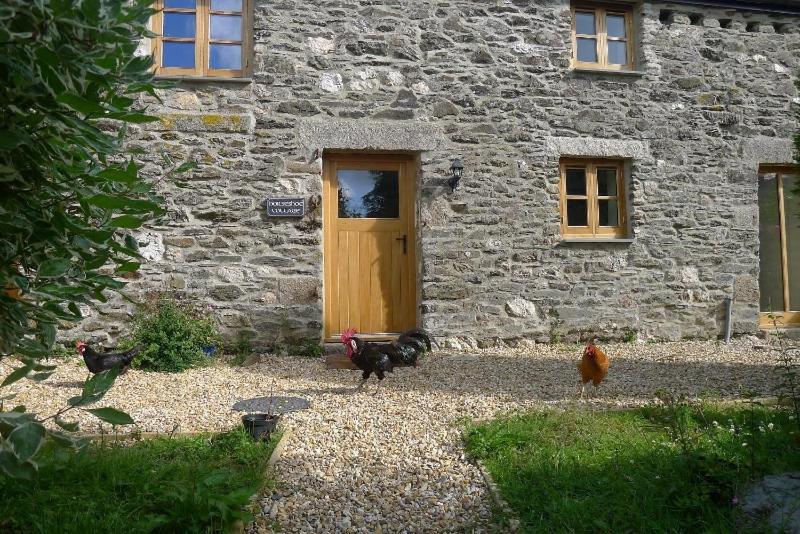 Photo 27
