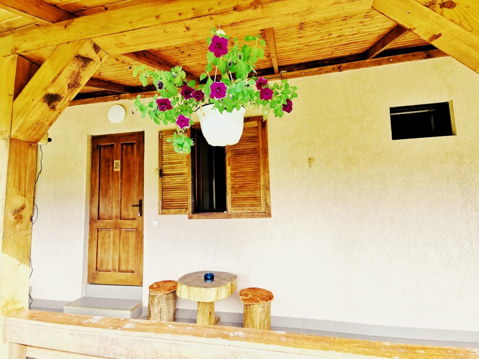 Casa Borcean 2 view 2