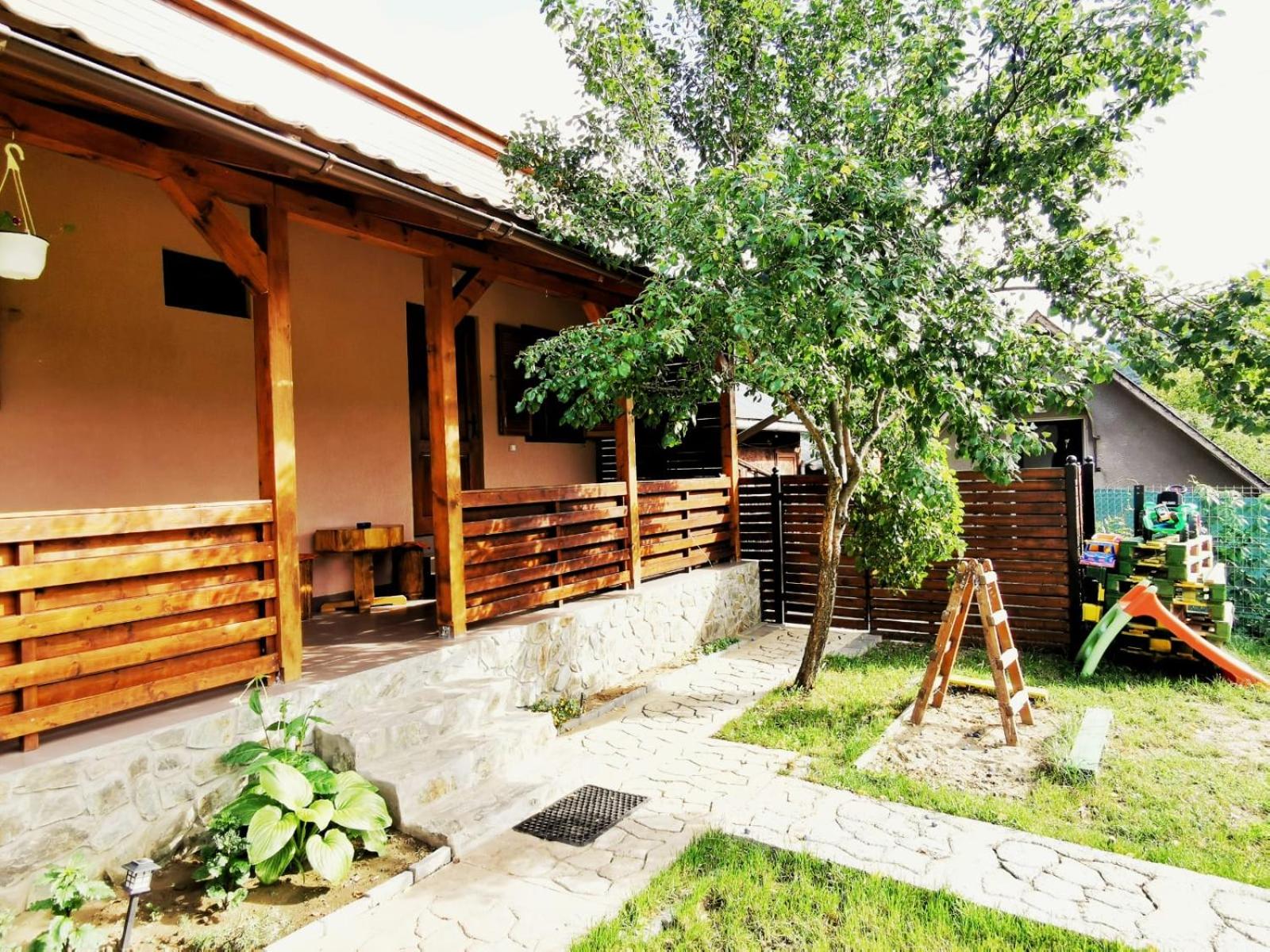 Casa Borcean 2 view 3