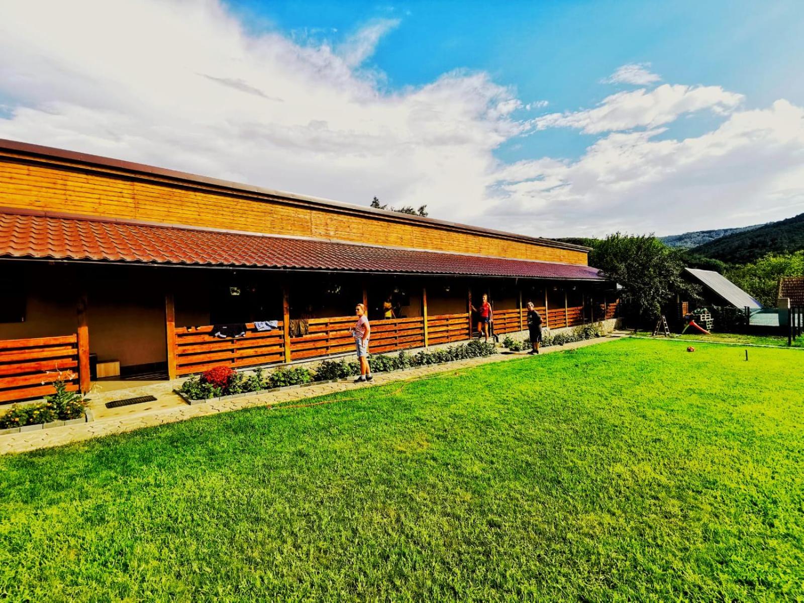 Casa Borcean 2 view 4
