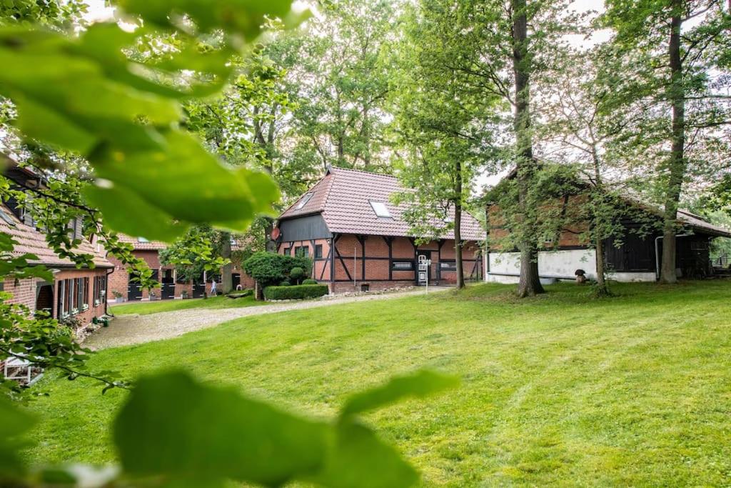 Carpe Deimern in der Lüneburger Heide