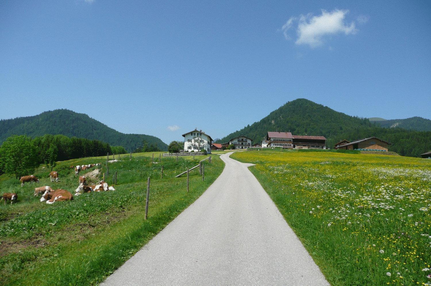 Gasthof Jachenau view 5