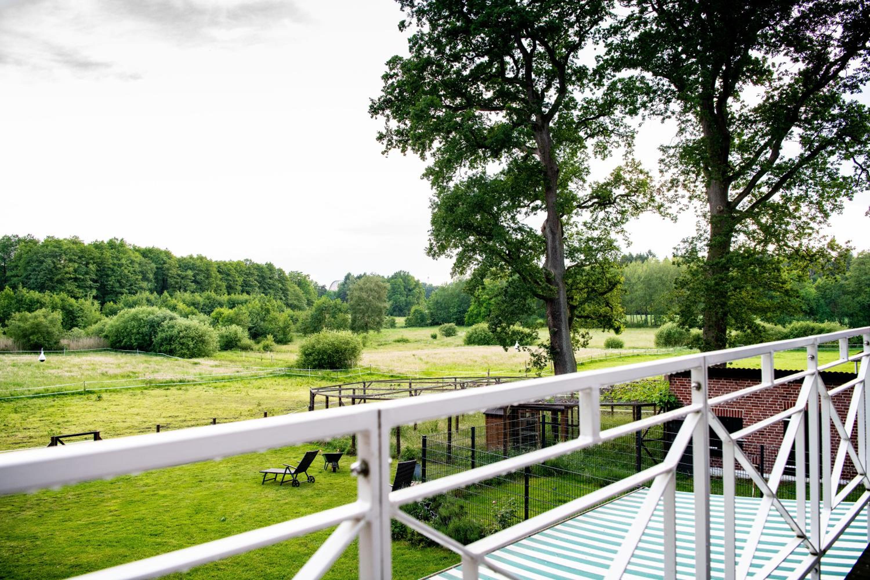 Carpe Deimern in der Lüneburger Heide