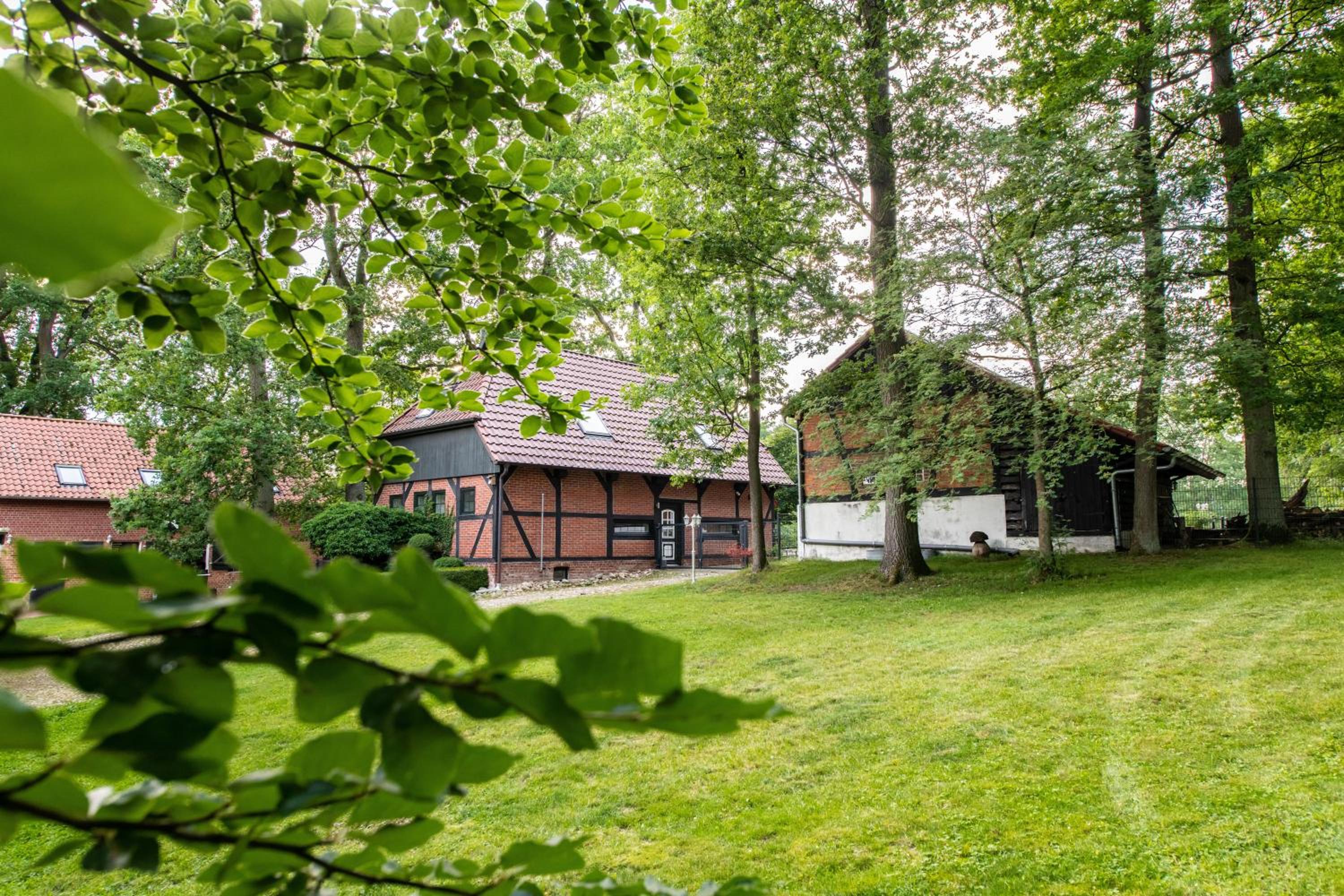 Carpe Deimern in der Lüneburger Heide