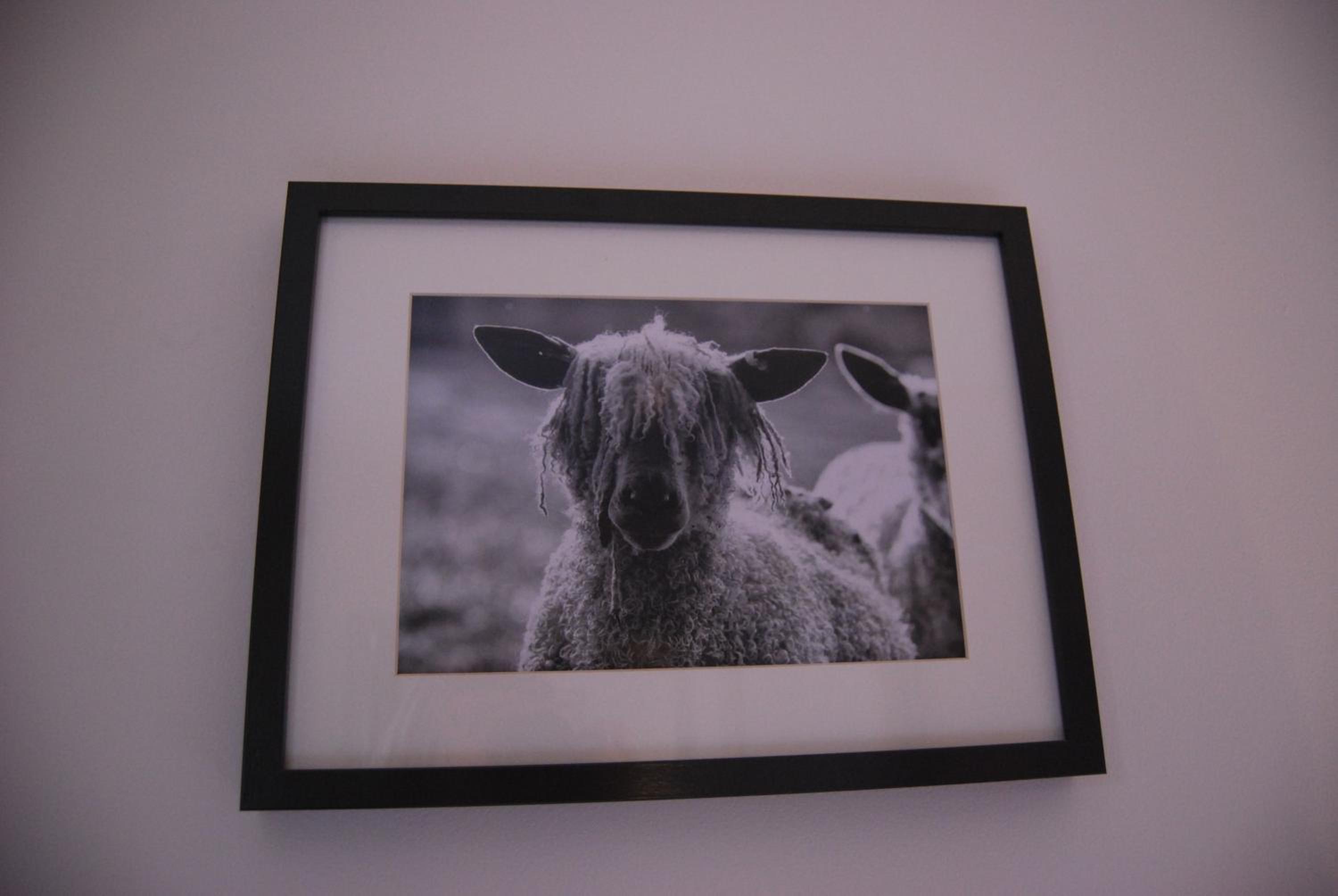Hare & Hounds Bed & Breakfast