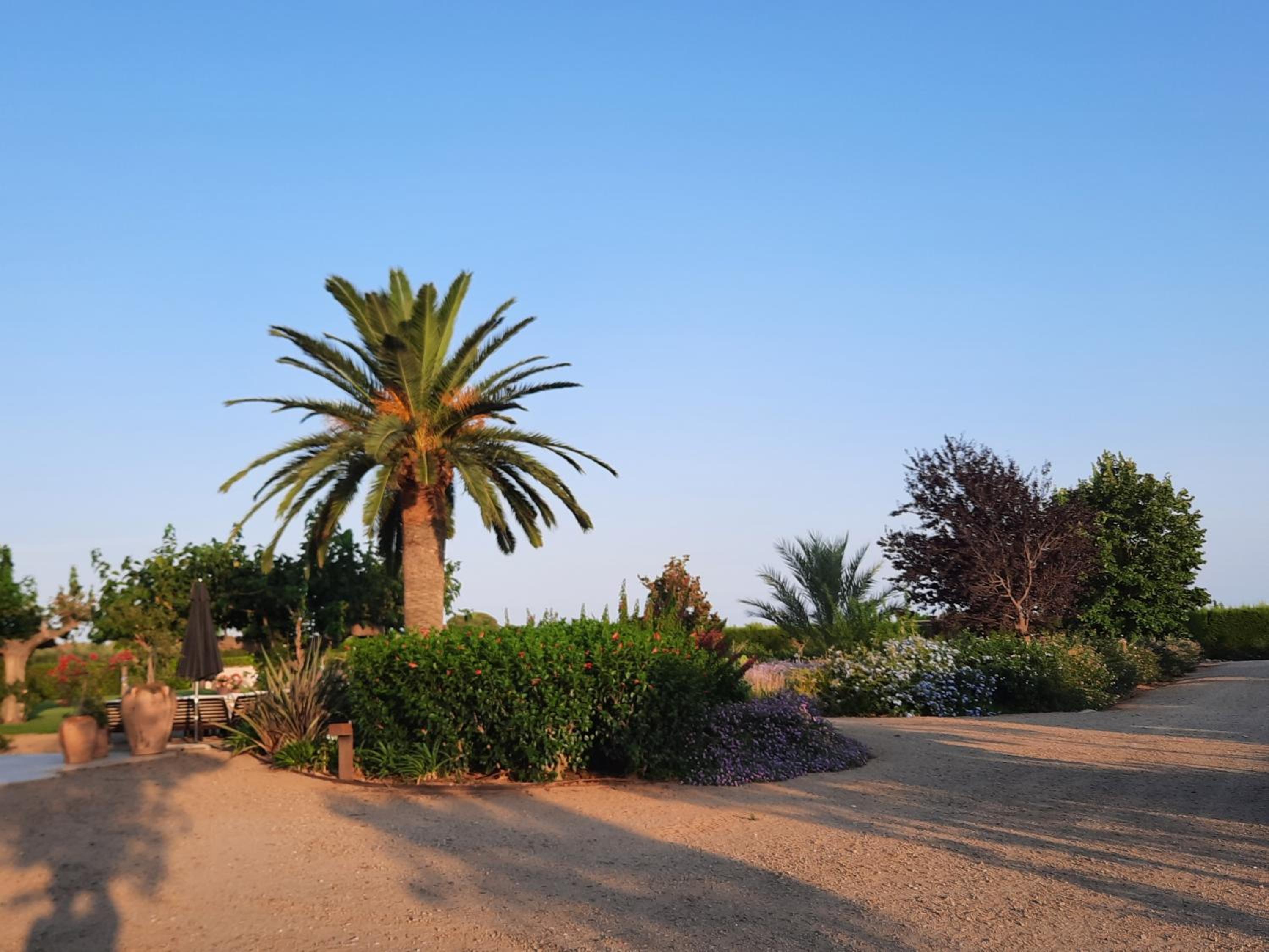 Mas Montbrio Belvedere