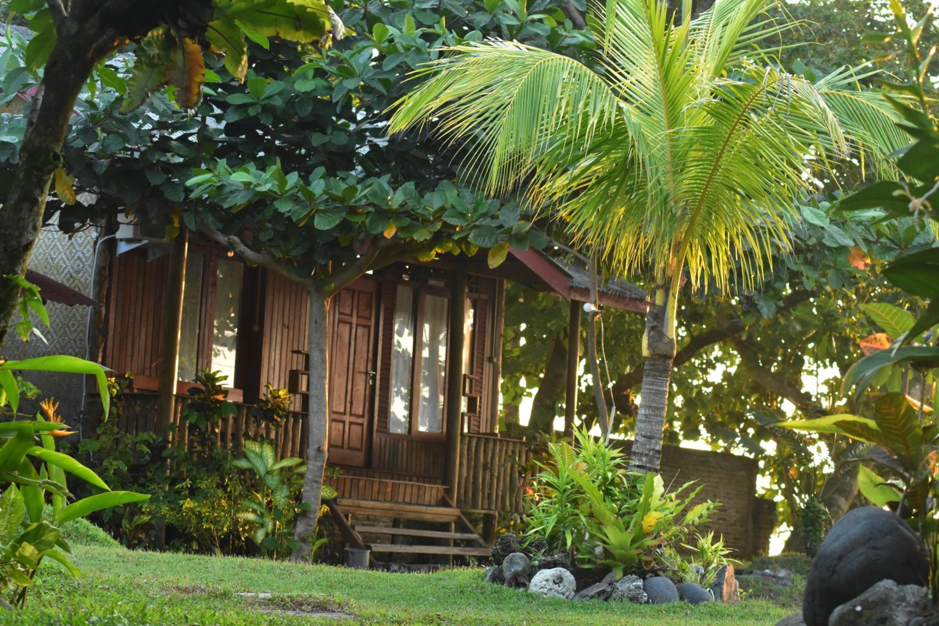 Hotel Krui Surfing - Image 1