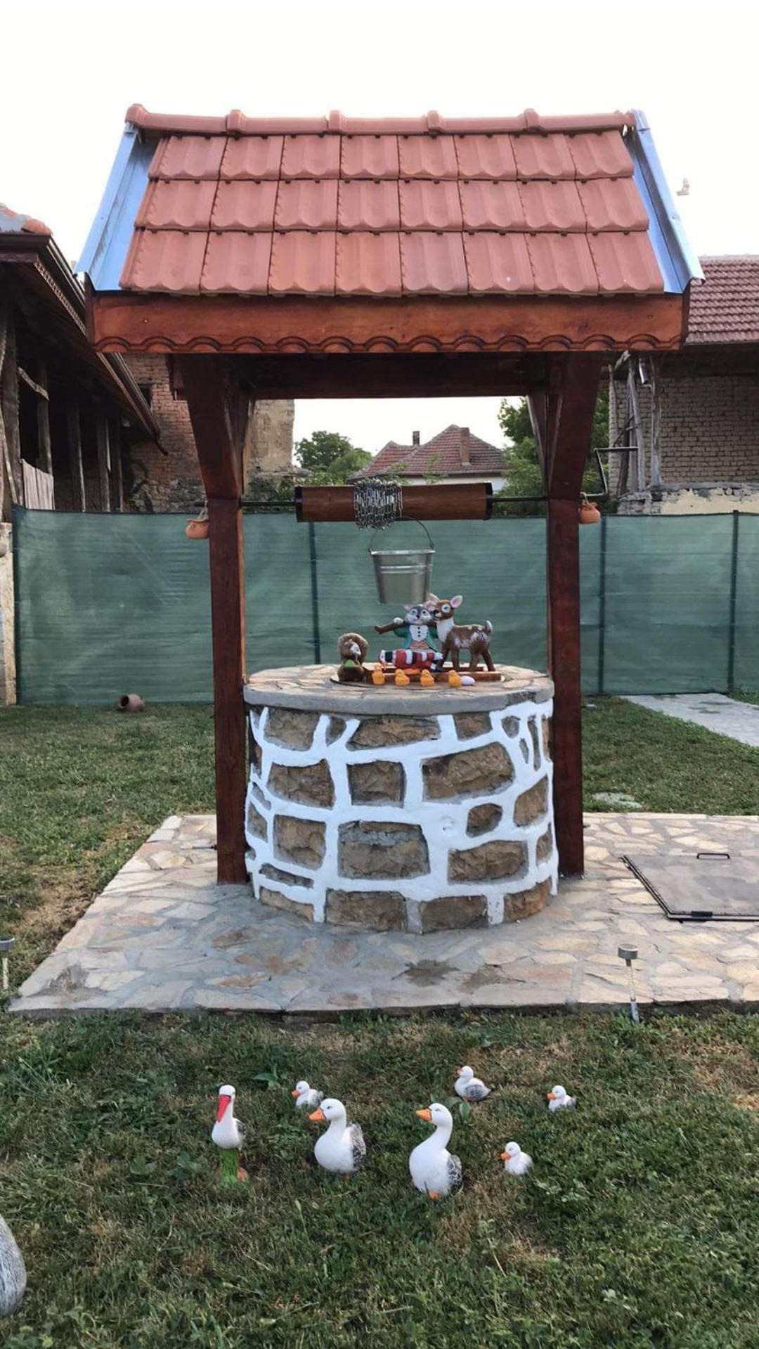КРУШУНСКИ КЪТ ТЕЯ