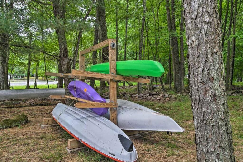 Peaceful Pocono Lakefront, beach, pools, firepit, pets view 5
