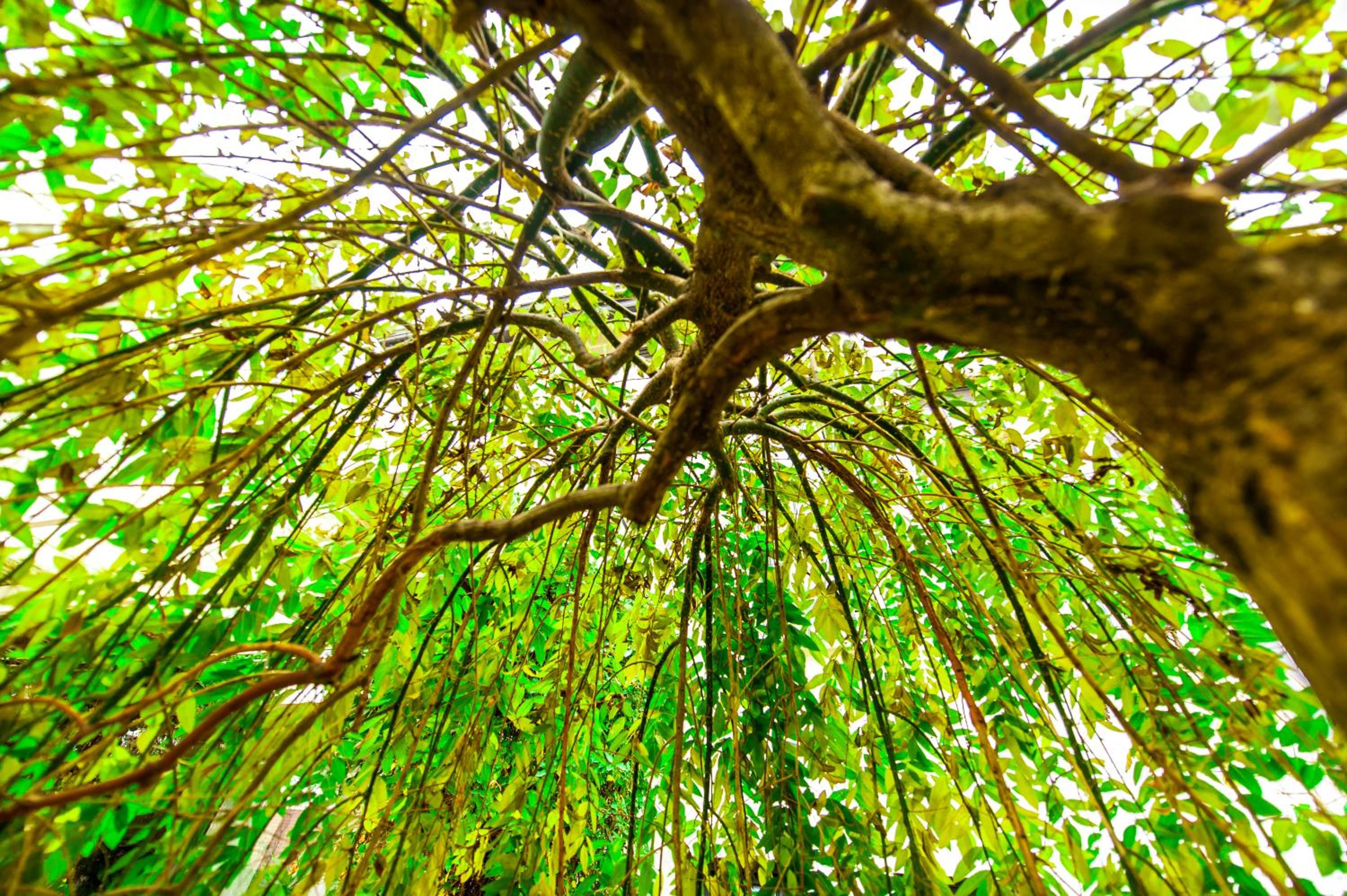 May Residence view 3