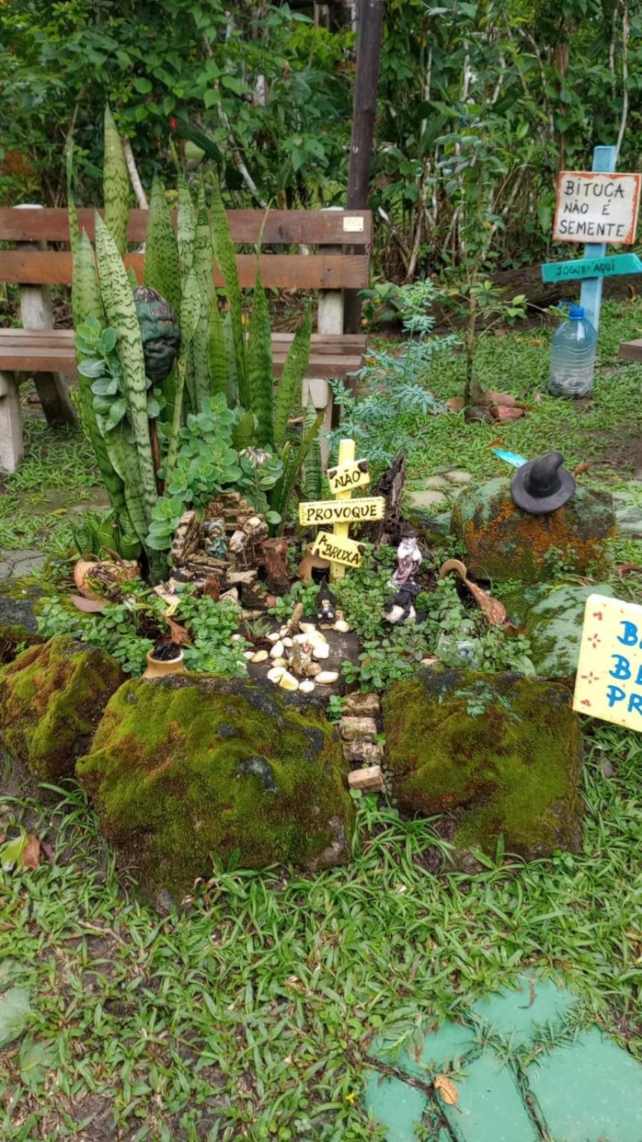 Photo 45