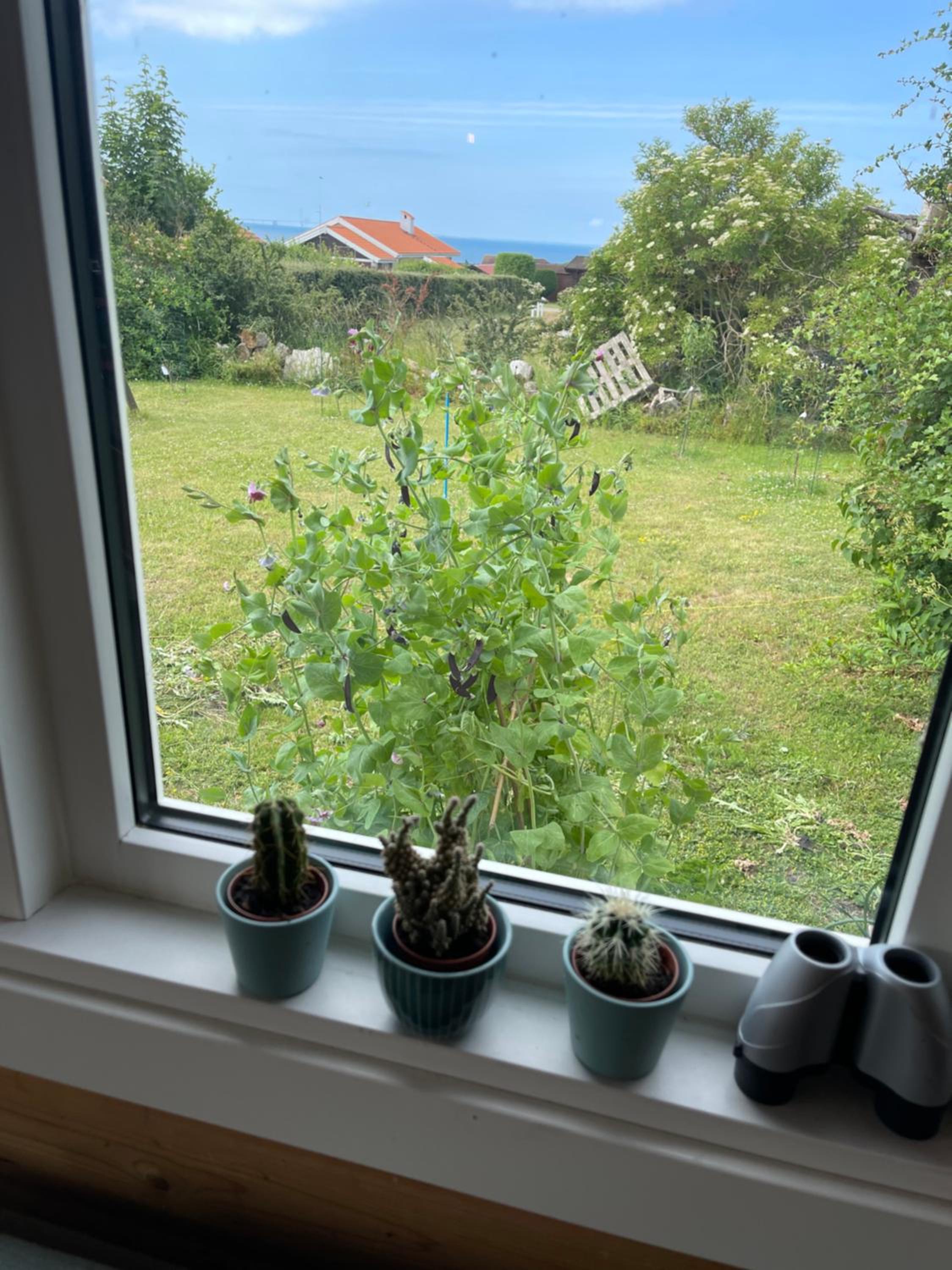Norsk bjælkehytte med fibernet