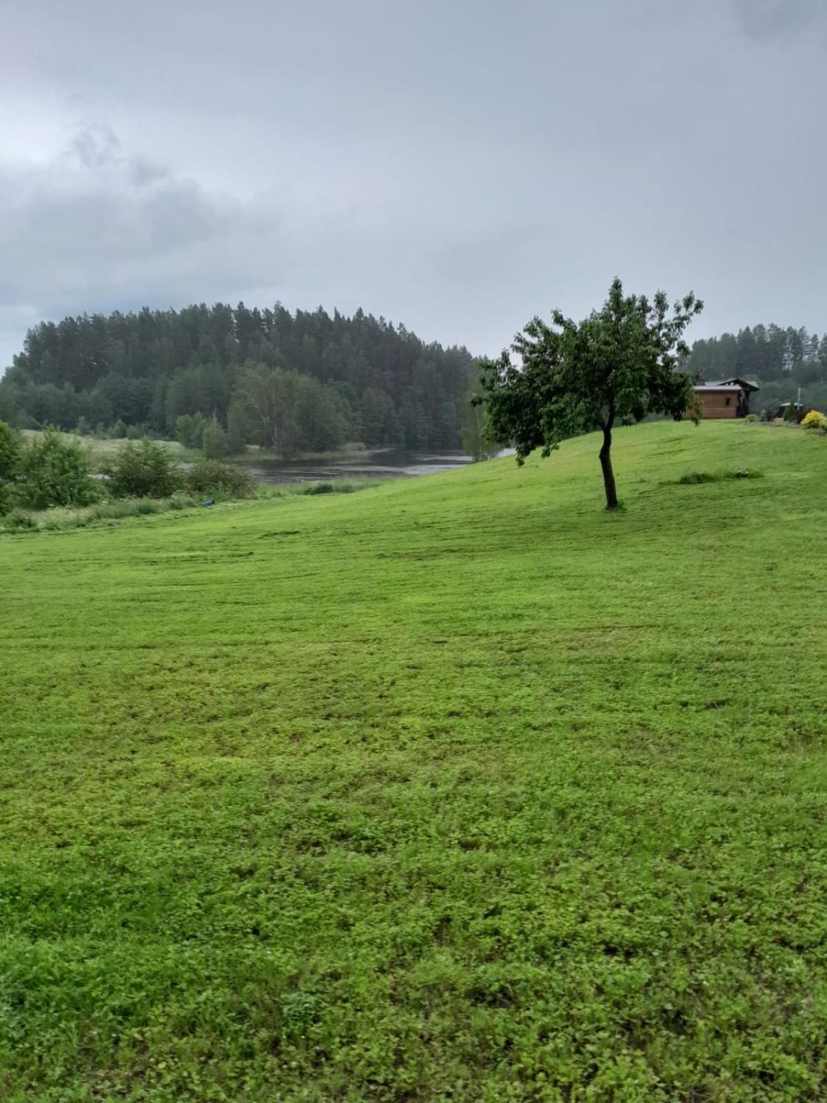 Photo 33